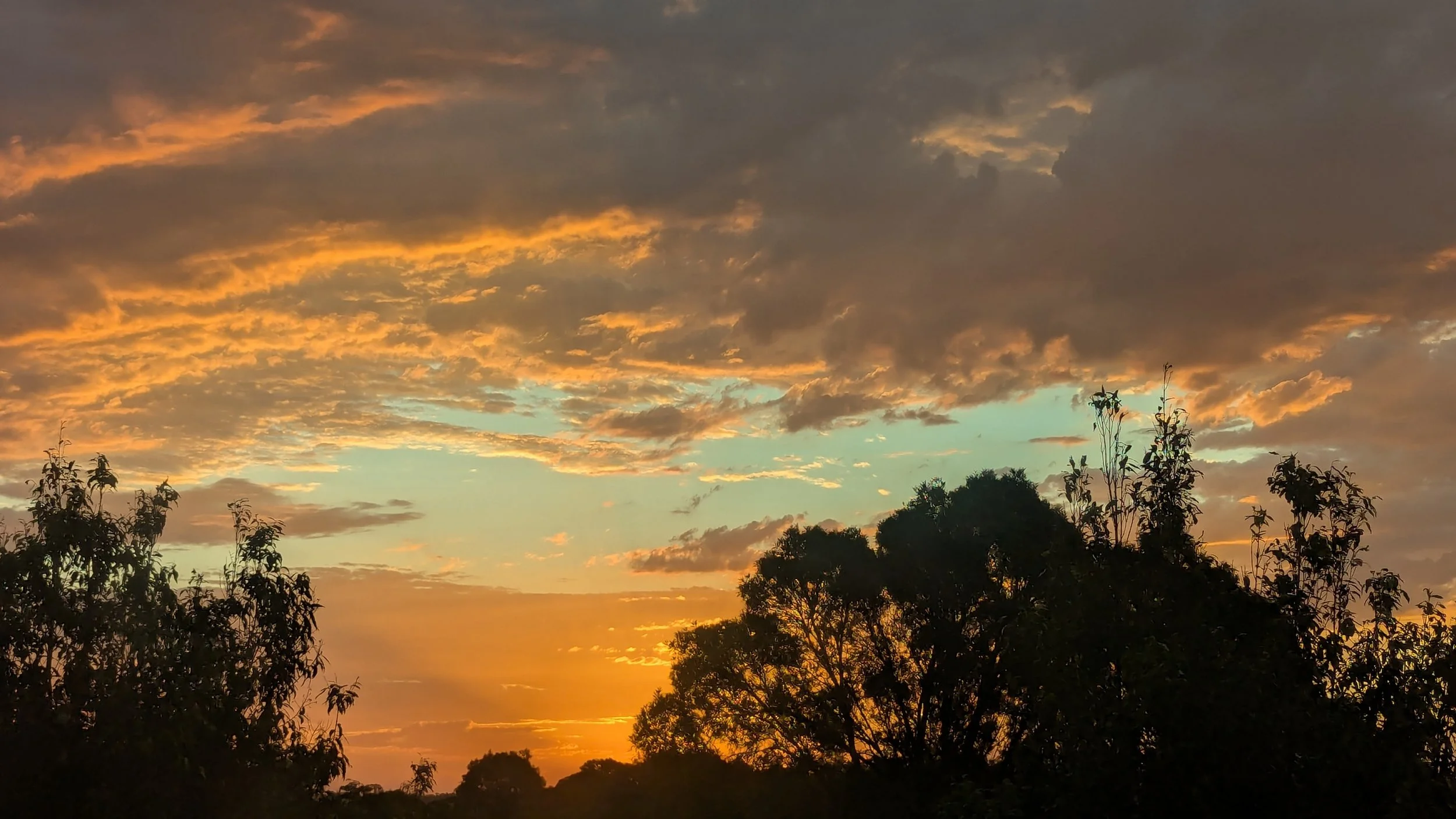 A sunset sky with orange and yellow clouds above dark silhouette trees.