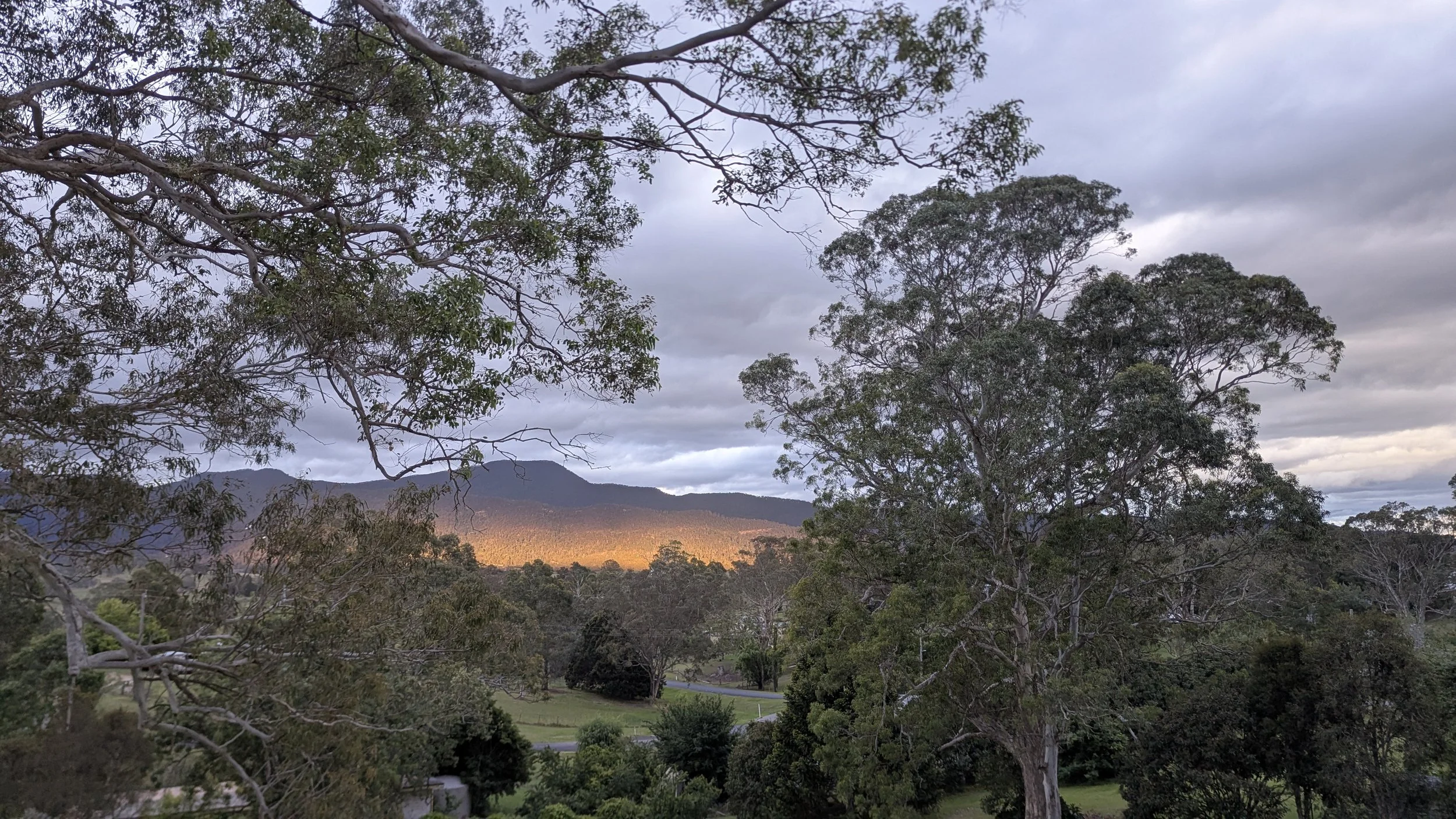 Landscape scene of trees, mountains, and a cloudy sky at sunset.