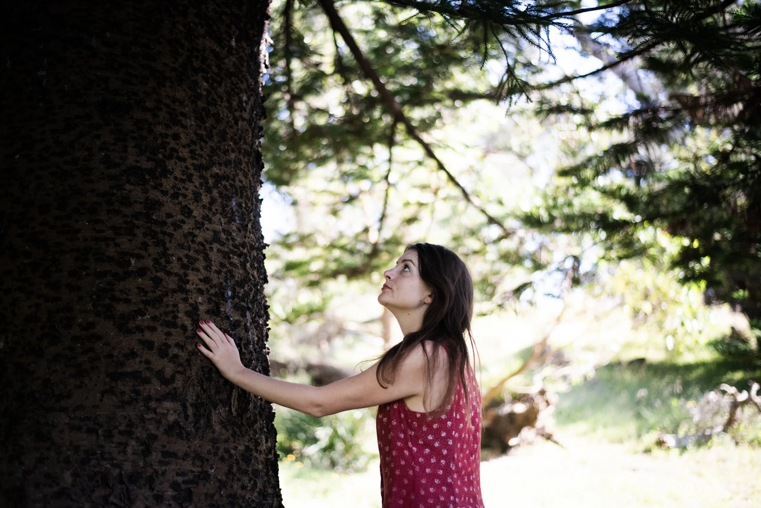 A young woman in a red dress with white polka dots hugging a large tree outdoors, looking up at the branches and leaves above on a sunny day.