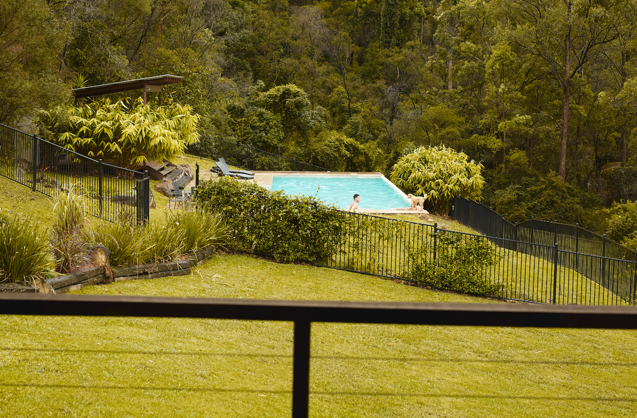 A backyard with a grassy lawn, a fenced swimming pool, and surrounding trees and bushes. Two people are in the pool; one appears to be swimming or standing, and the other is near a dog. There are lounge chairs and a small shelter or gazebo.