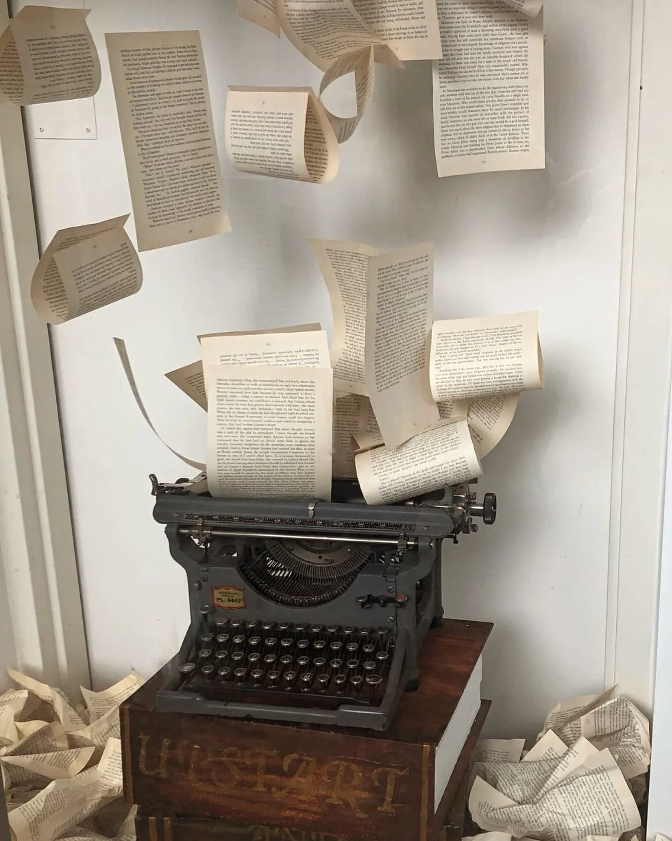 Sommige dagen gaat schrijven vanzelf. De zinnen komen, de pagina&rsquo;s vullen zich.✍🏼

De bladzijdes vliegen uit het typemachine. Andere dagen zijn er vooral twijfel en onzekerheid. Over die dagen heb ik een blog geschreven. Nu te lezen op de webs