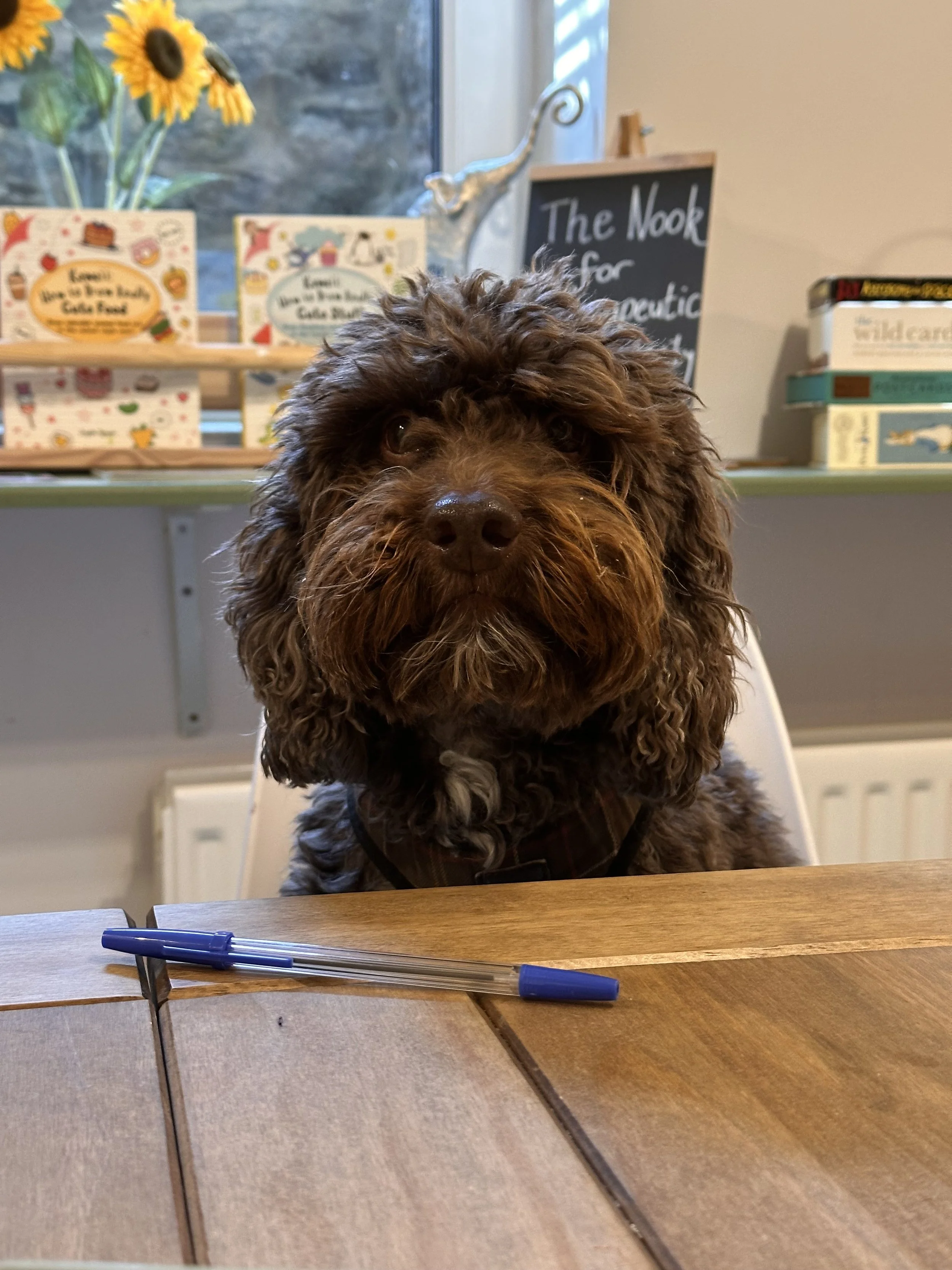 Bertie enjoying one of our creative sessions too!