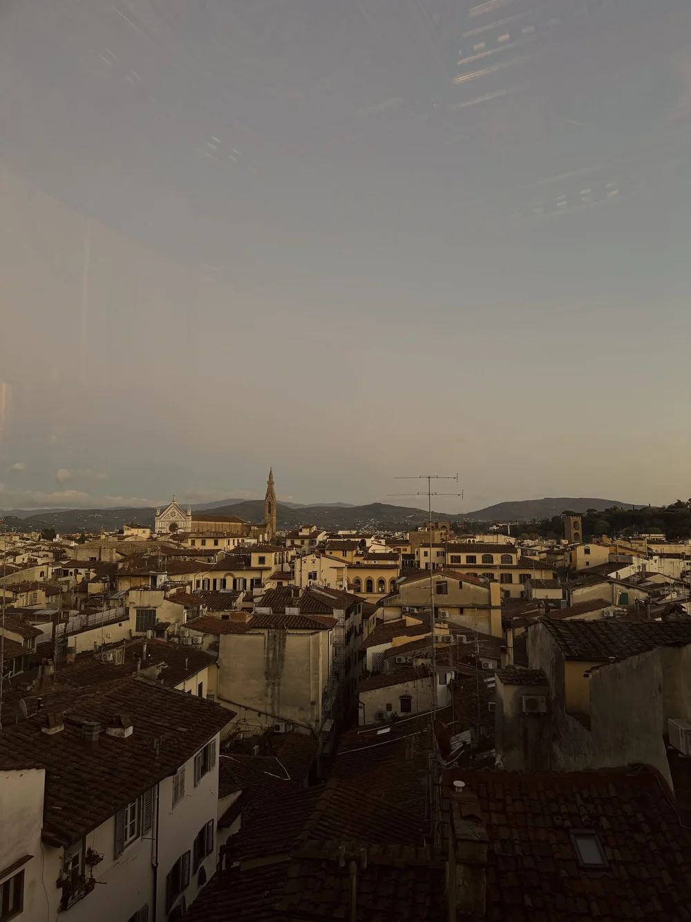 IMG_2913.jpeg