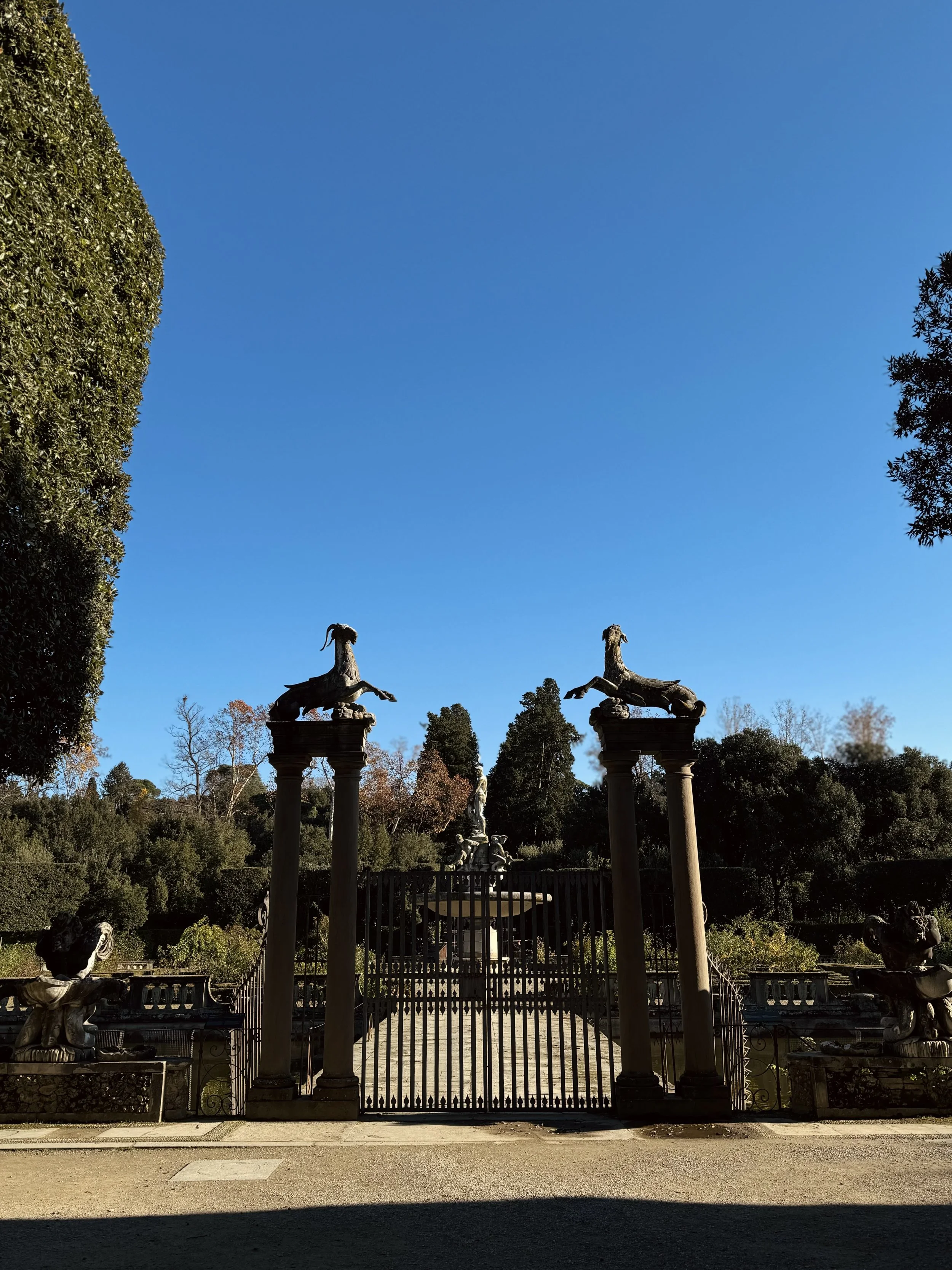 IMG_3022.jpeg