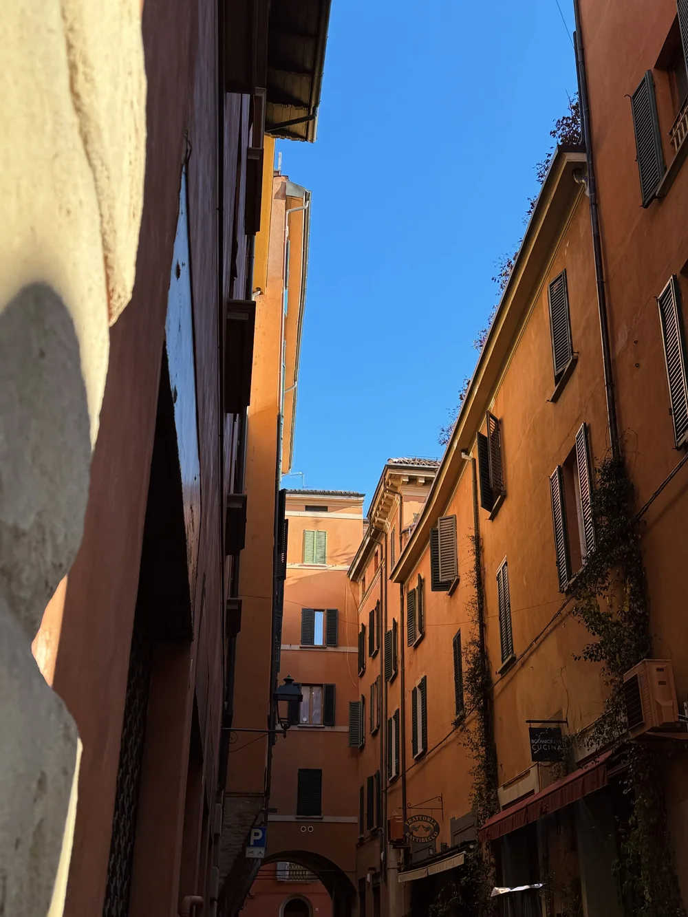 IMG_3141.jpeg