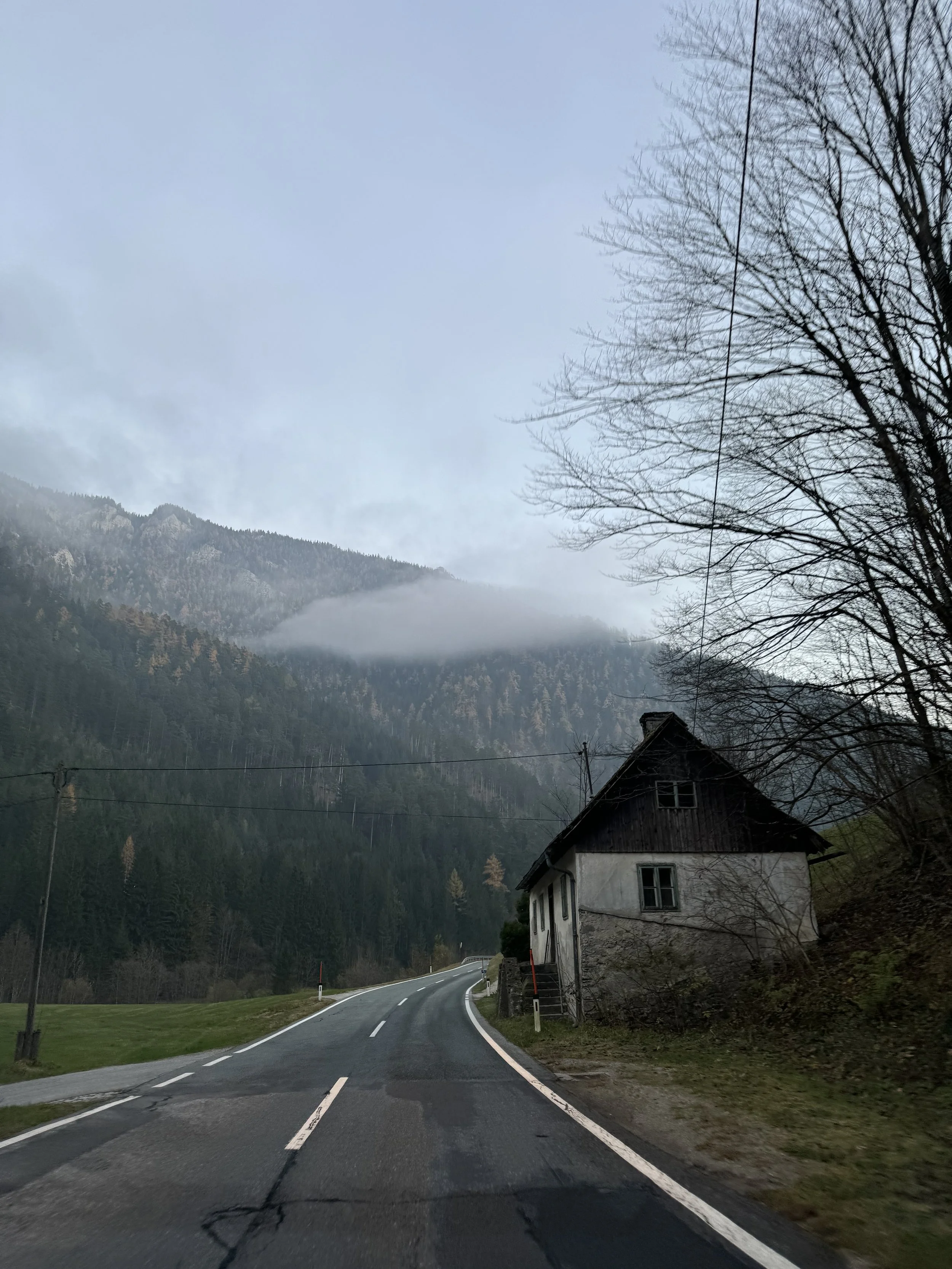 IMG_1646.jpeg
