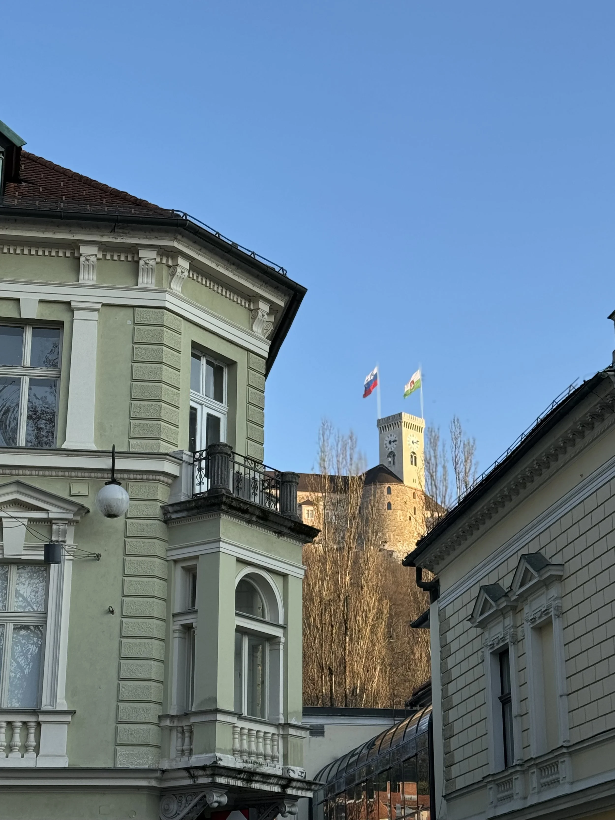 IMG_3657.jpeg