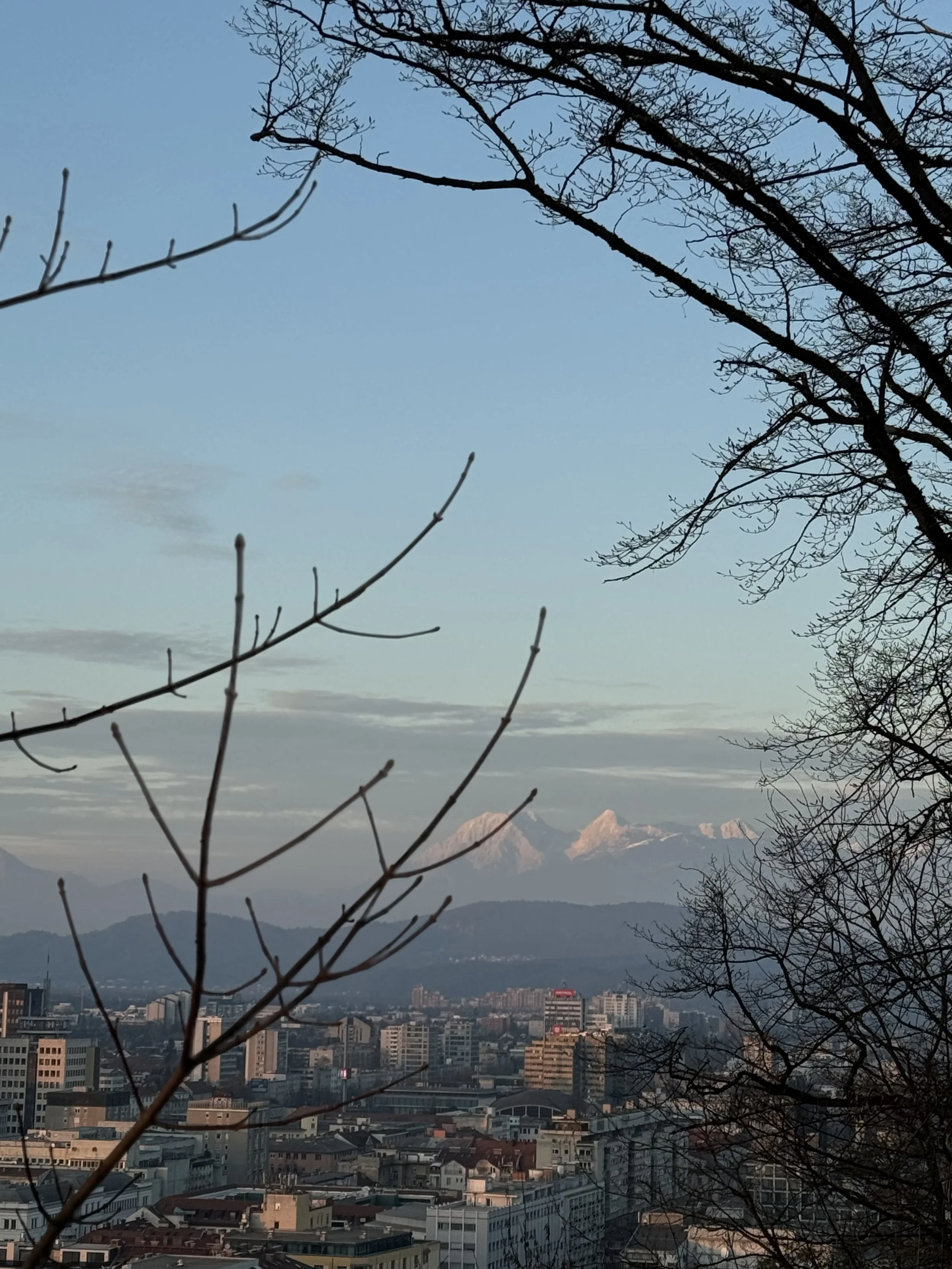 IMG_3678.jpeg