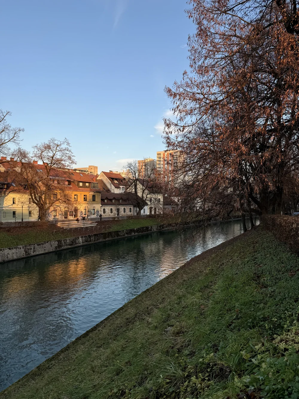 IMG_3669.jpeg