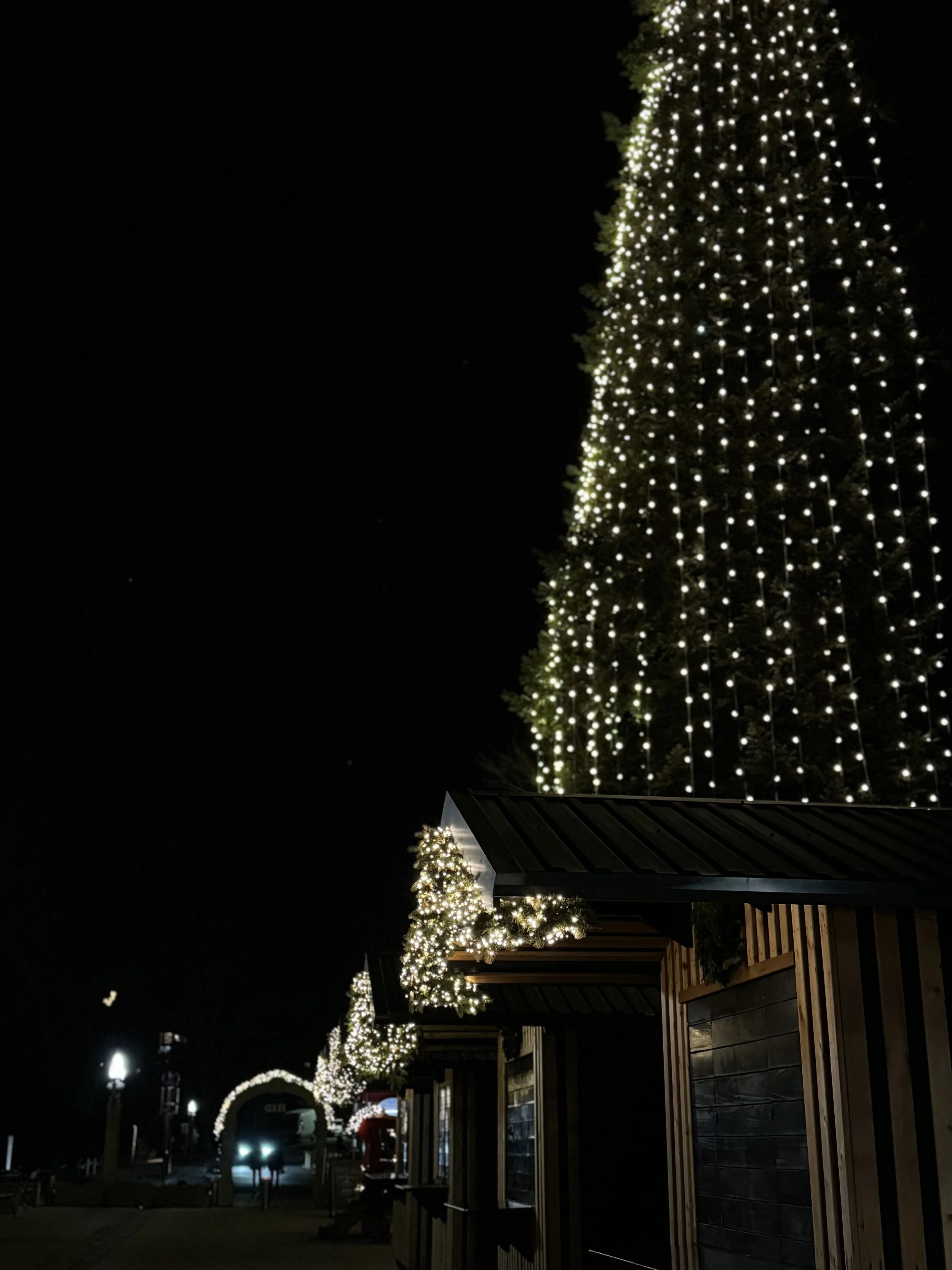IMG_3714.jpeg