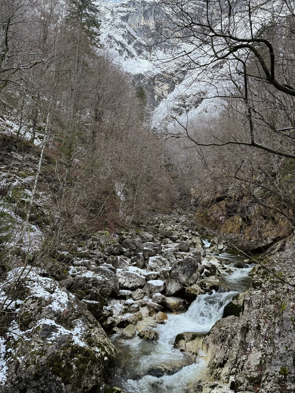 IMG_3980.jpeg