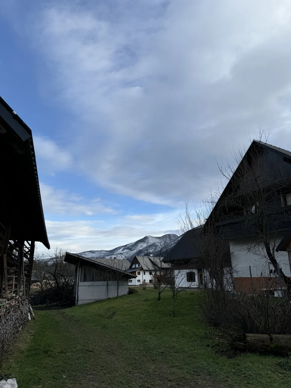 IMG_3978.jpeg