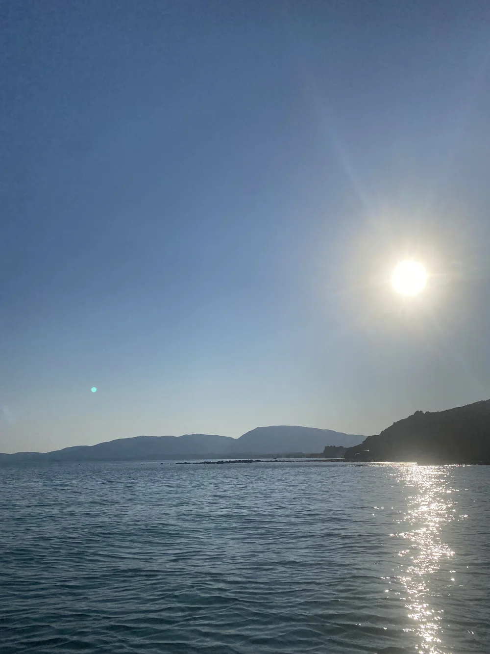 IMG_7431.jpeg