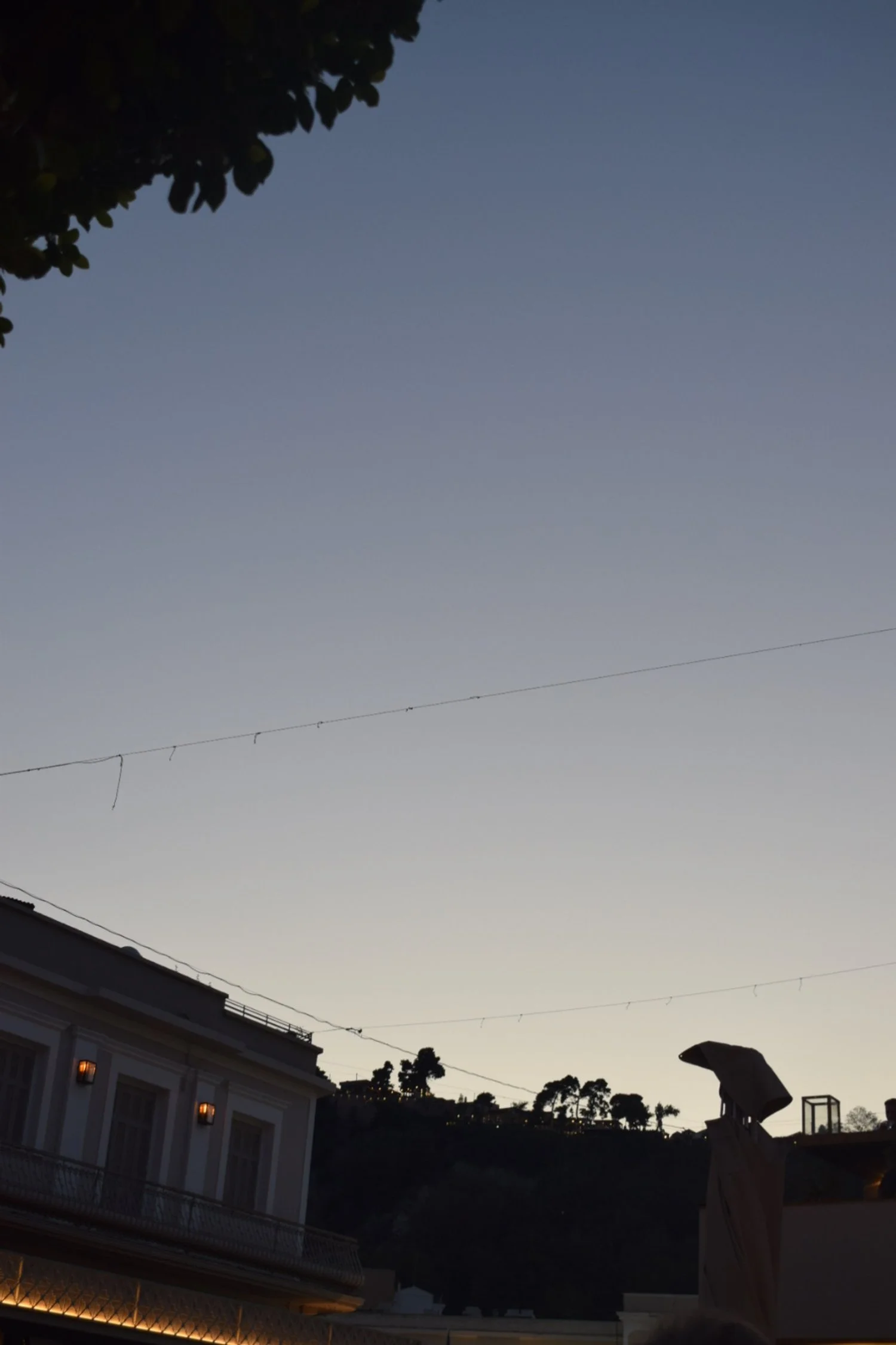 IMG_7436.jpeg