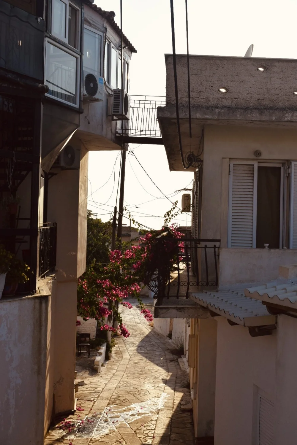 IMG_7659.jpeg