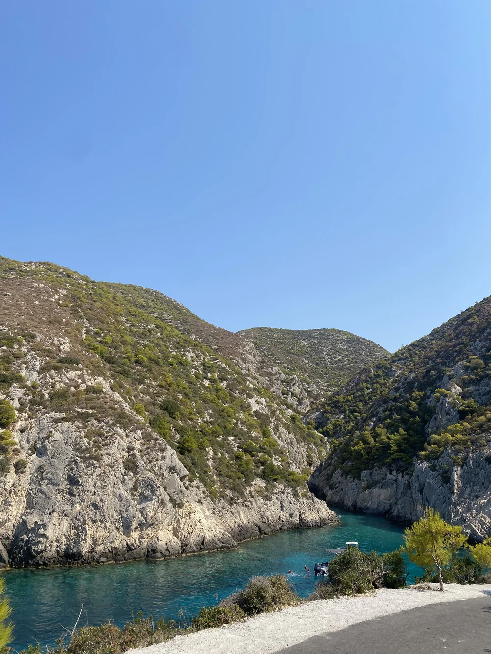 IMG_8383.jpeg