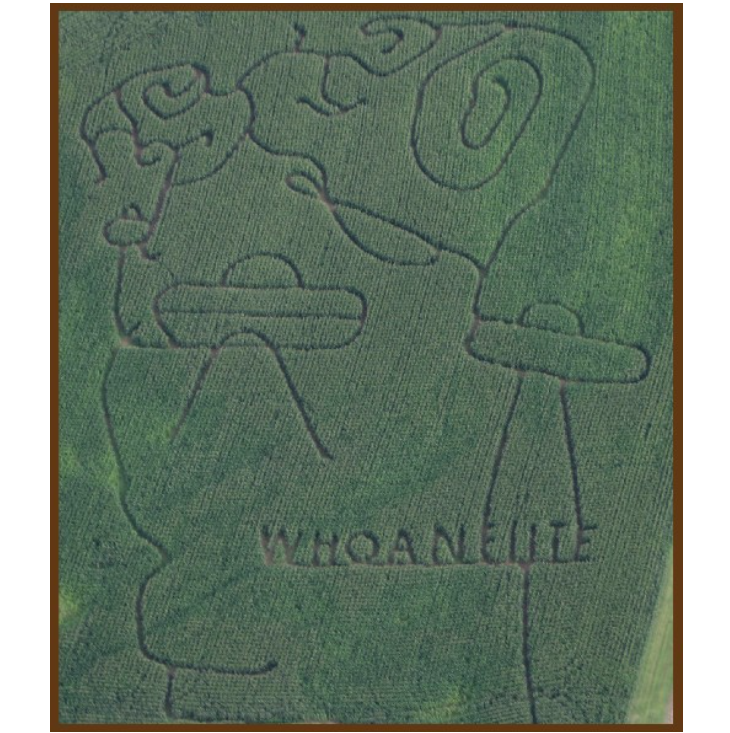 Whoa Nellie Dairy Fall Fun