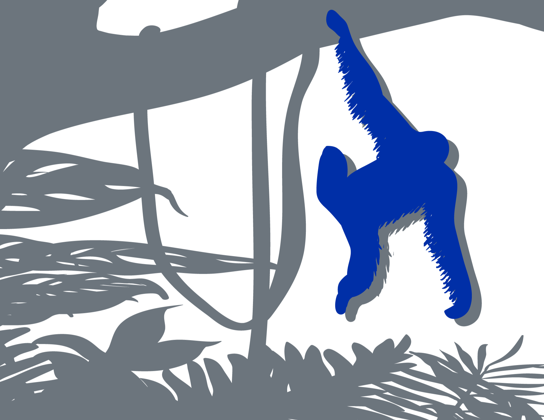 Blue Gibbon