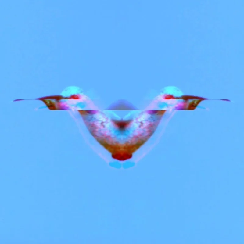 Motion Study: Code Art as a Flexible Asset