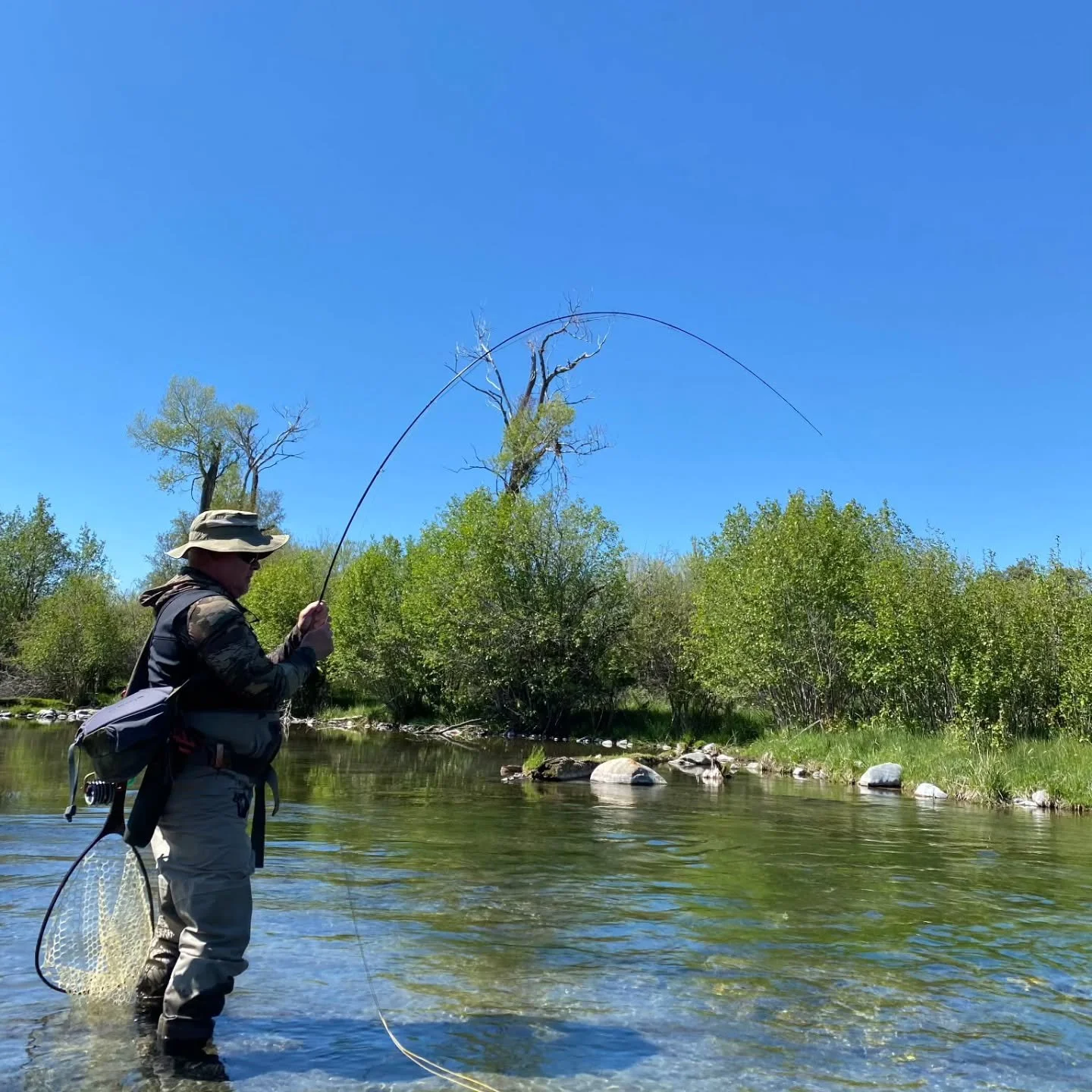 Website launch coming soon... 🎣
#solusrods #rodcrafter #flyrods #customrods #smallbusiness #veteranowned