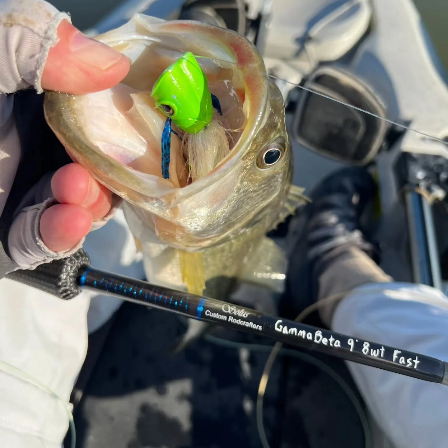 Tim Kapp getting it done on his new Solus! Our Gamma Beta series is a fast action rod available from 5wt-12wt and is an absolute pleasure to cast. Tight lines Tim! 🎣

#solusrods #customrods #flyfishing #smallbusiness