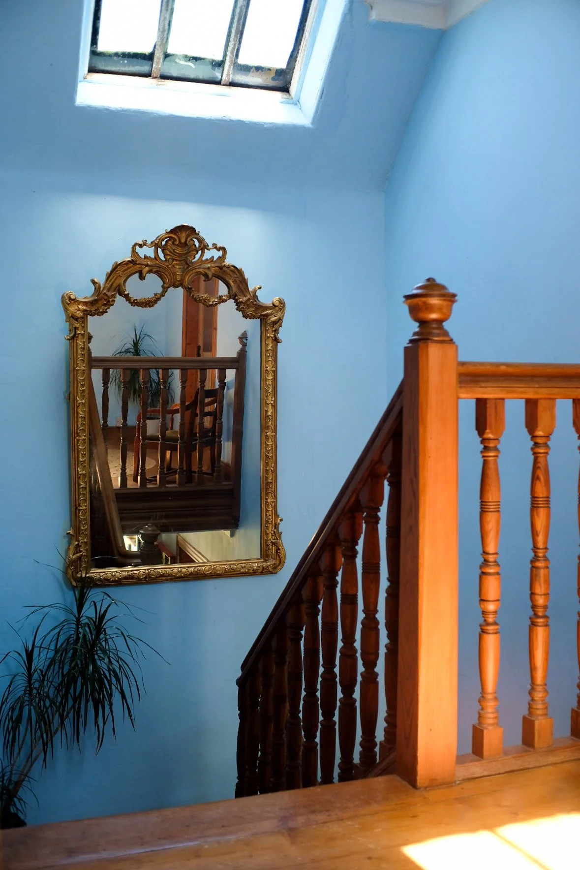 Tpot website photos-30.jpg