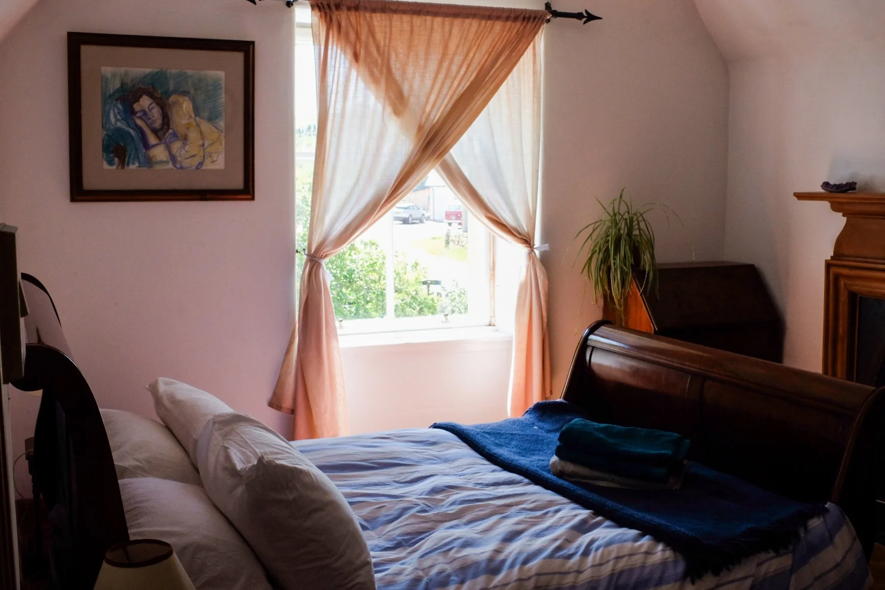 Tpot website photos-37.jpg