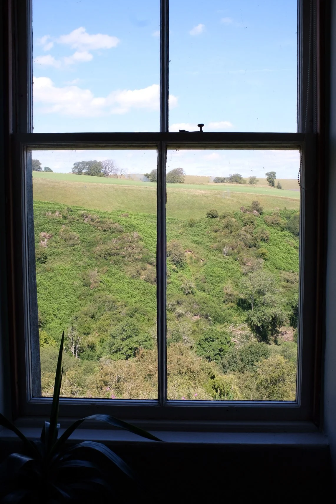 Tpot website photos-29.jpg