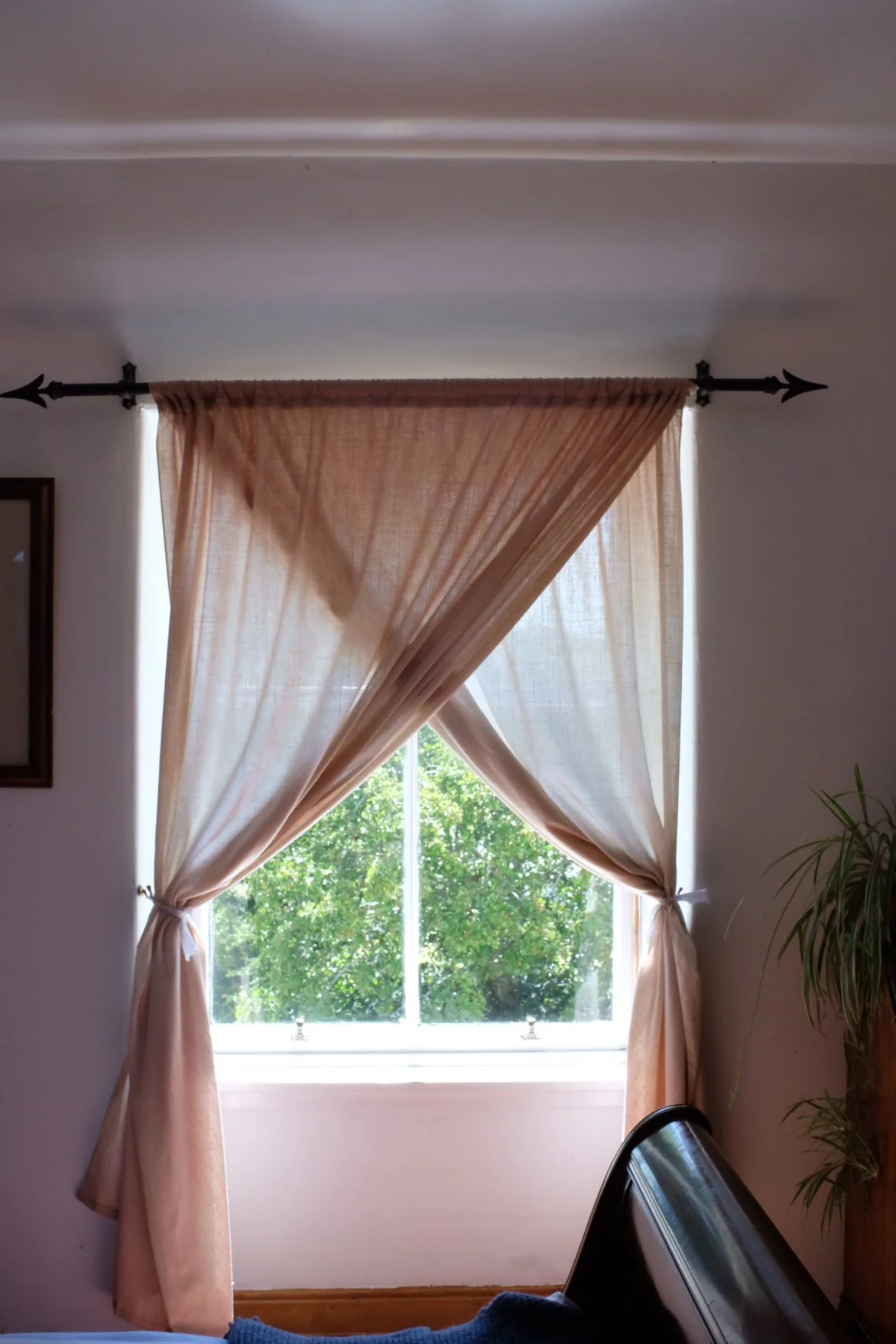 Tpot website photos-39.jpg