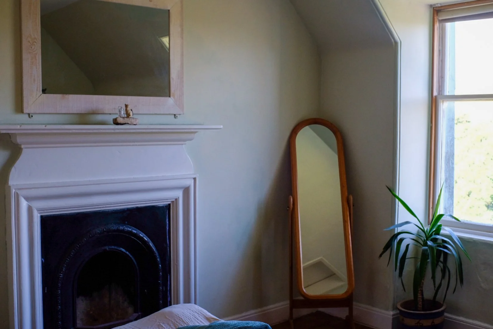 Tpot website photos-26.jpg