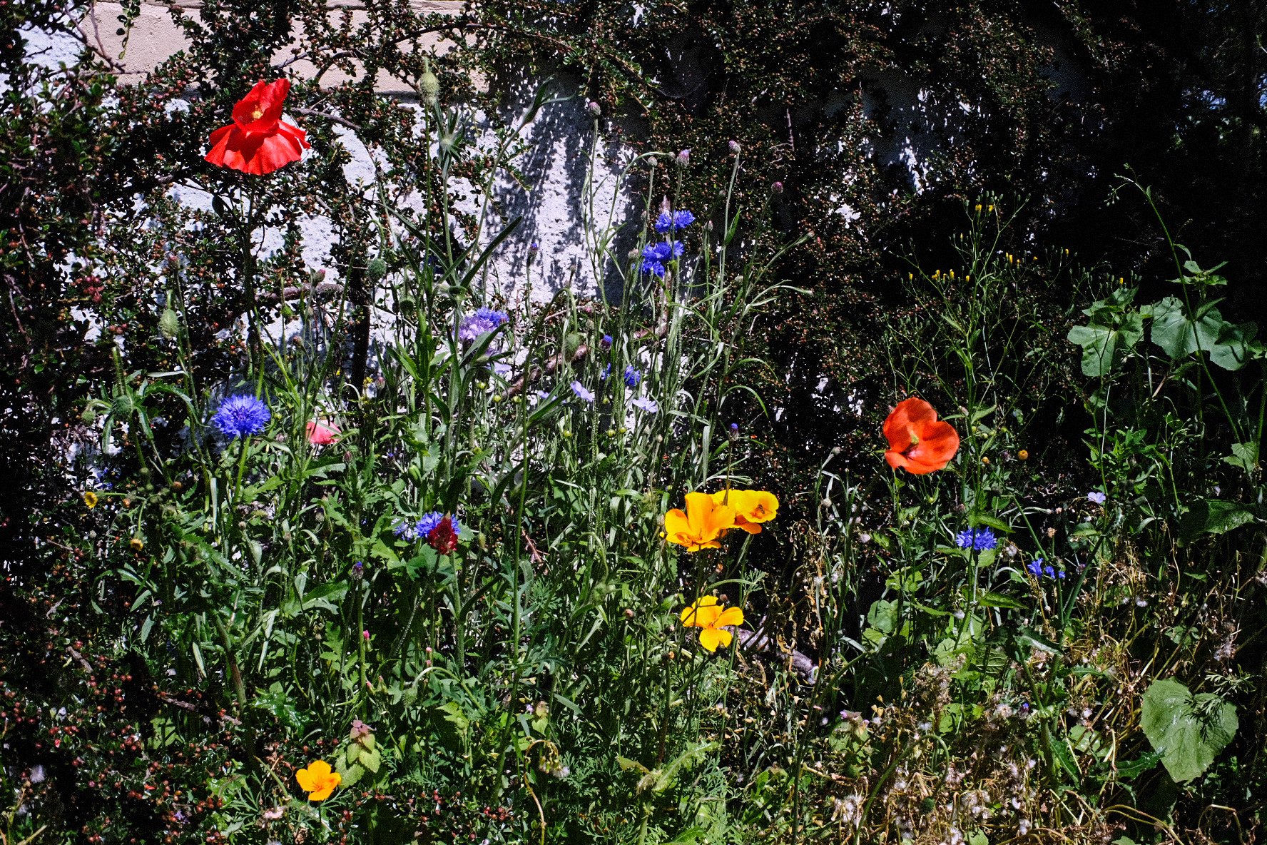 Tpot website photos-01.jpg