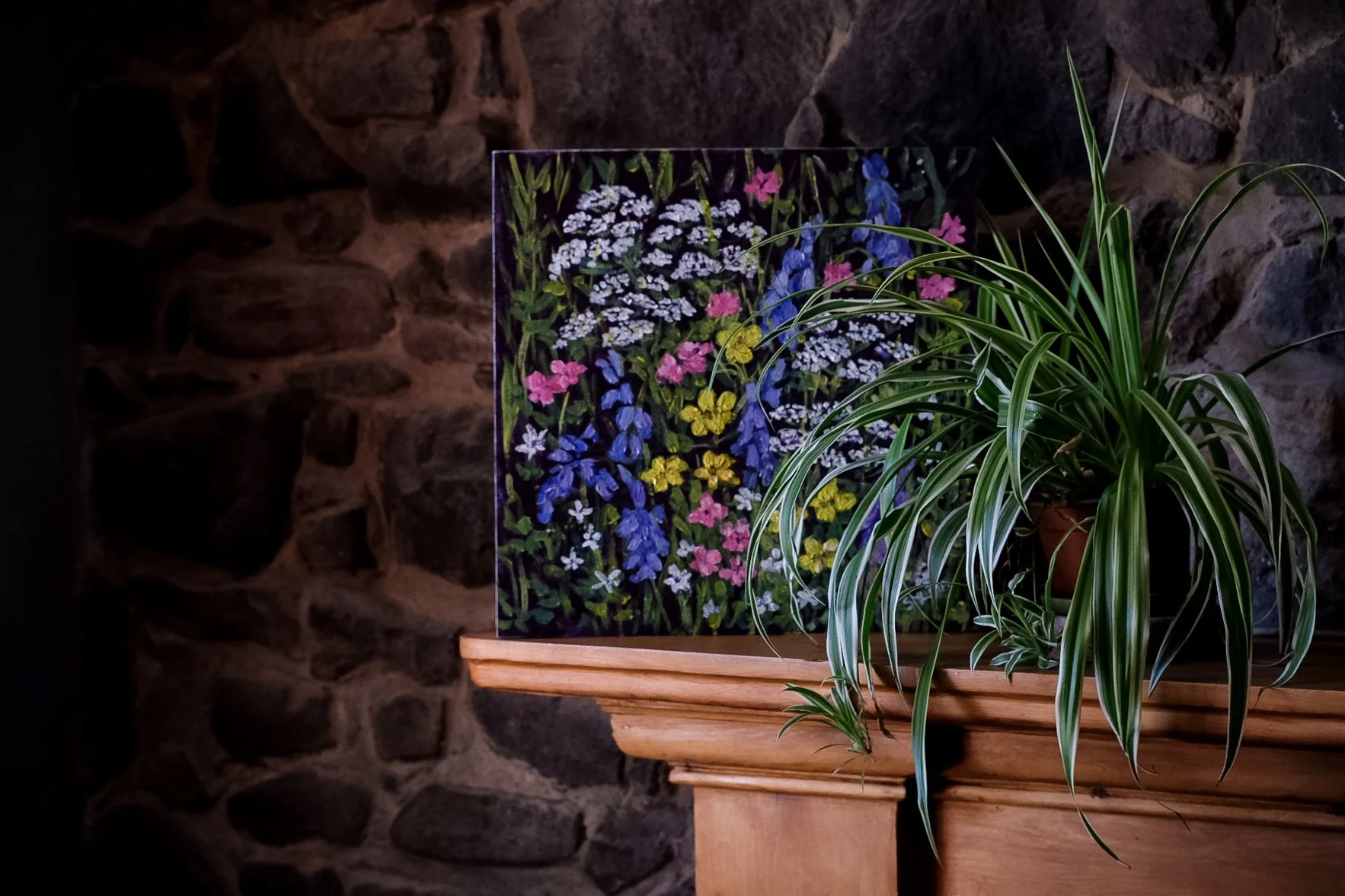 Tpot website photos-41.jpg