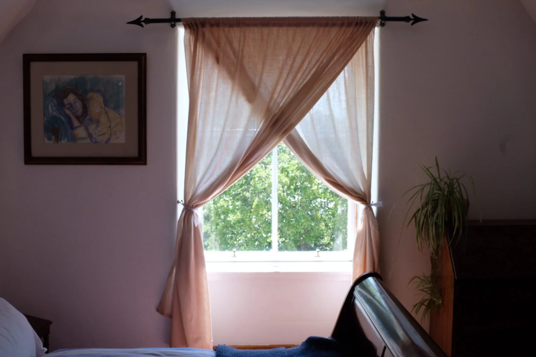 Tpot website photos-38.jpg