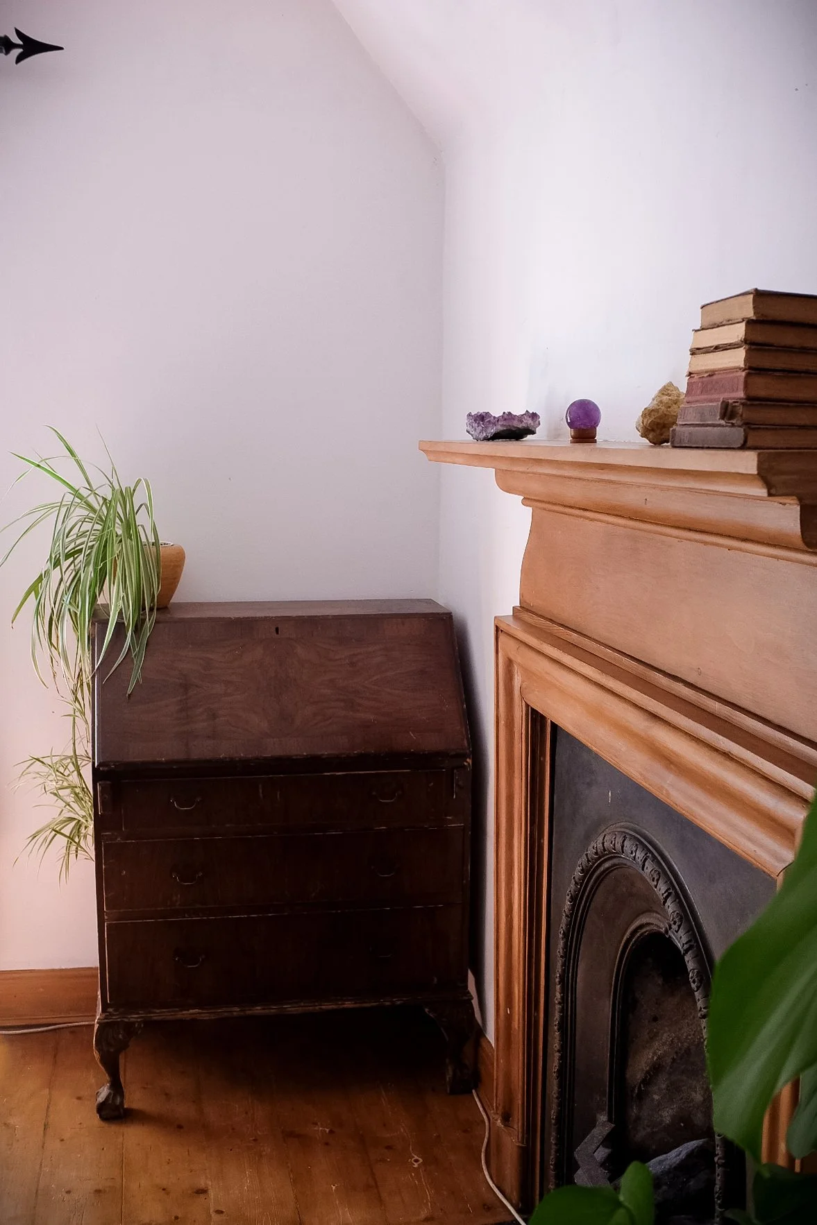 Tpot website photos-40.jpg