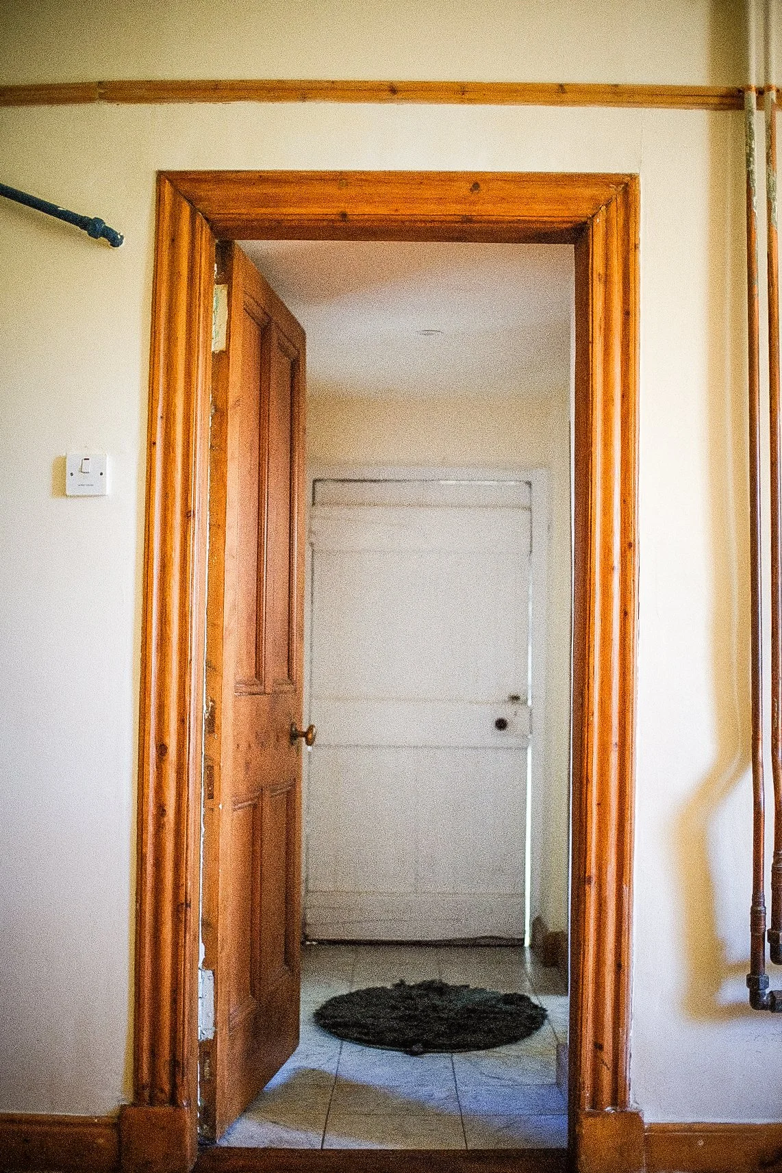 Tpot website photos-04.jpg