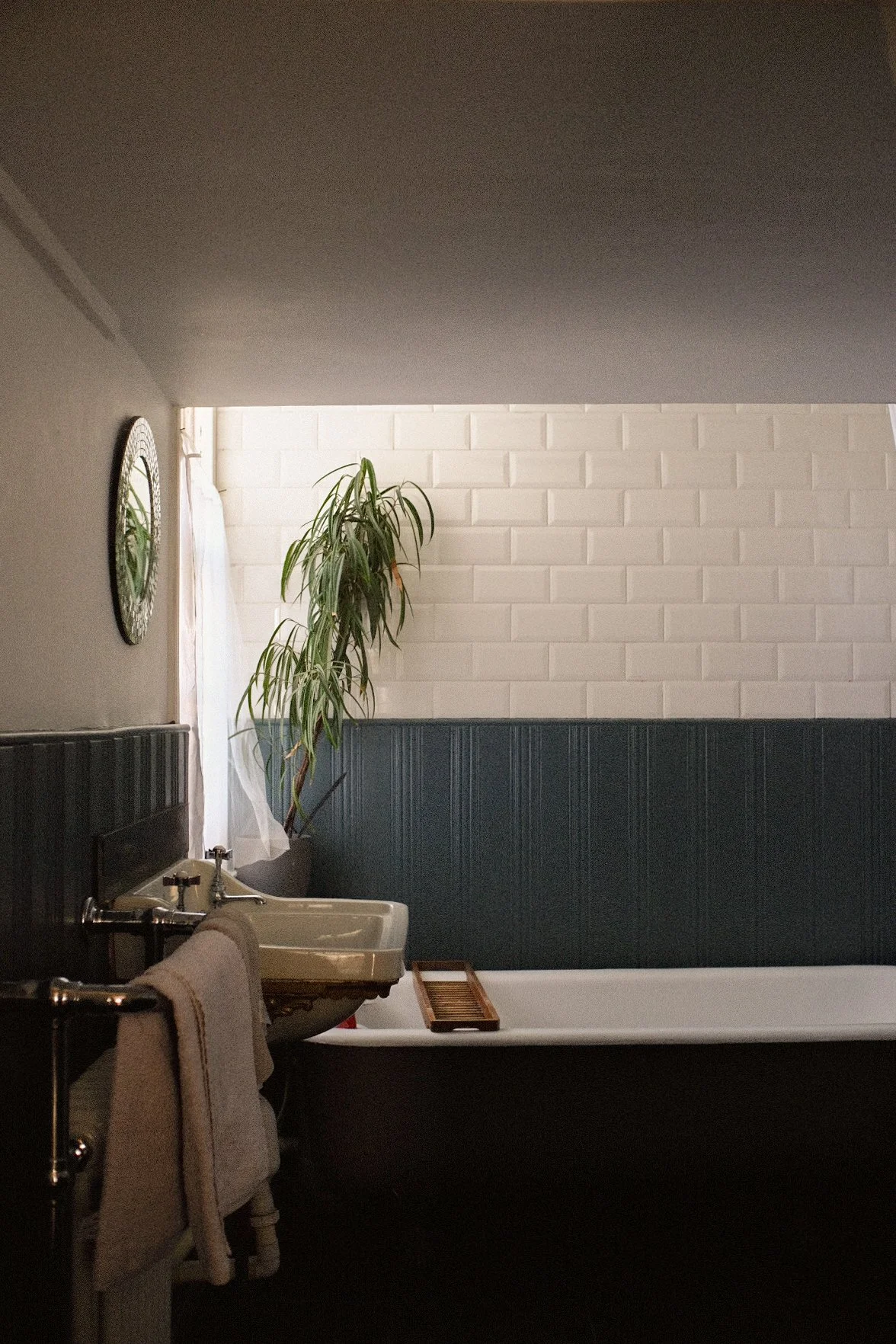 Tpot website photos-13.jpg