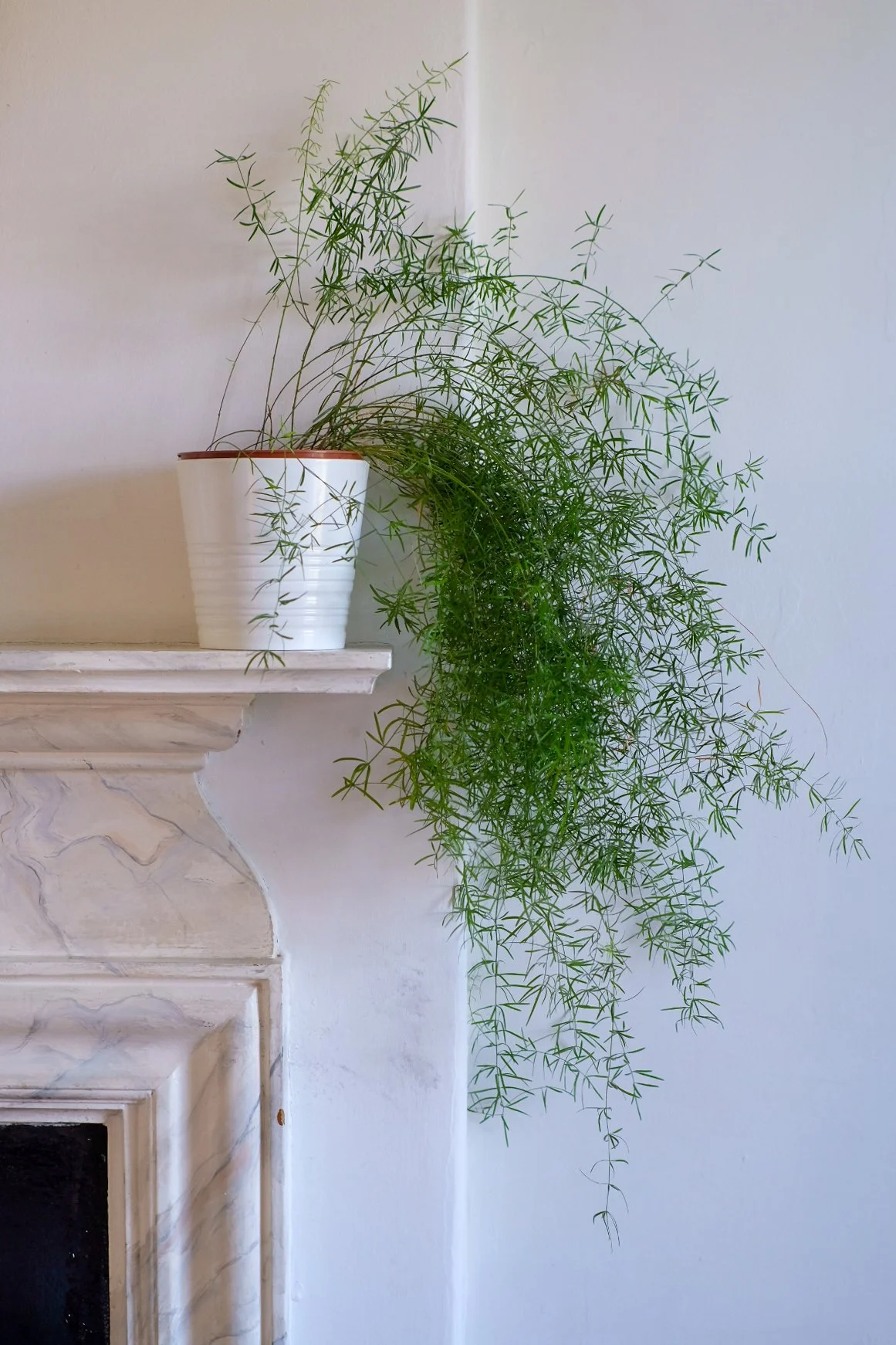 Tpot website photos-44.jpg