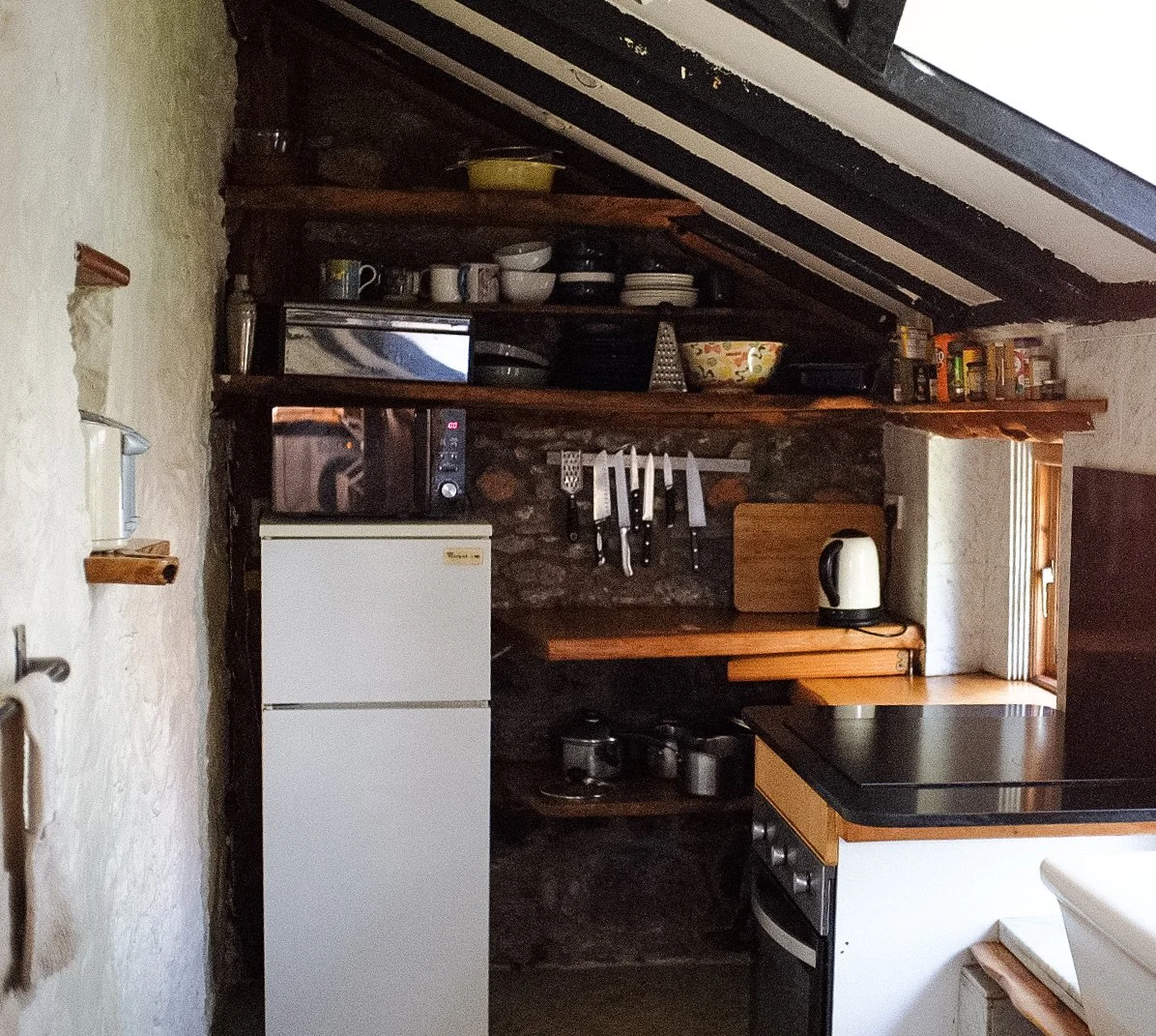 Tpot website photos-06.jpg