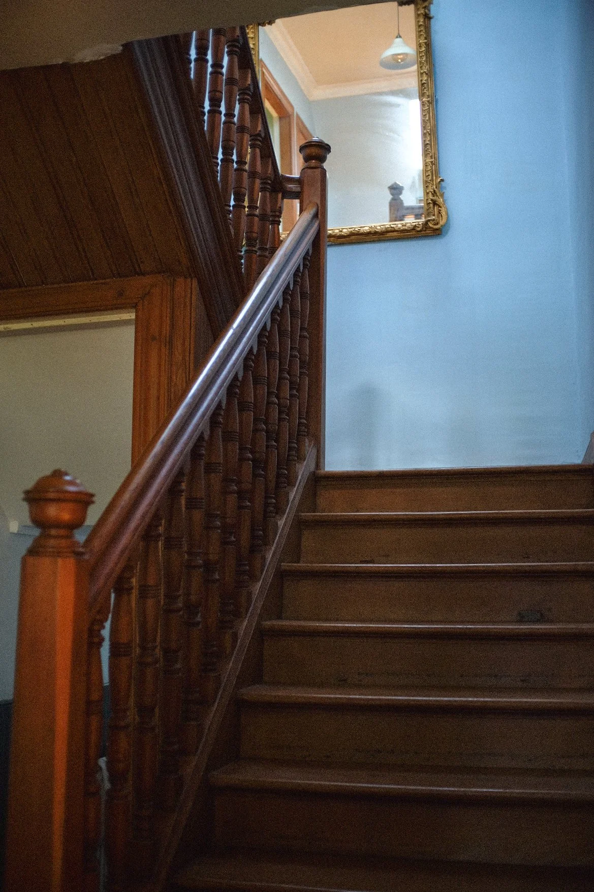 Tpot website photos-16.jpg