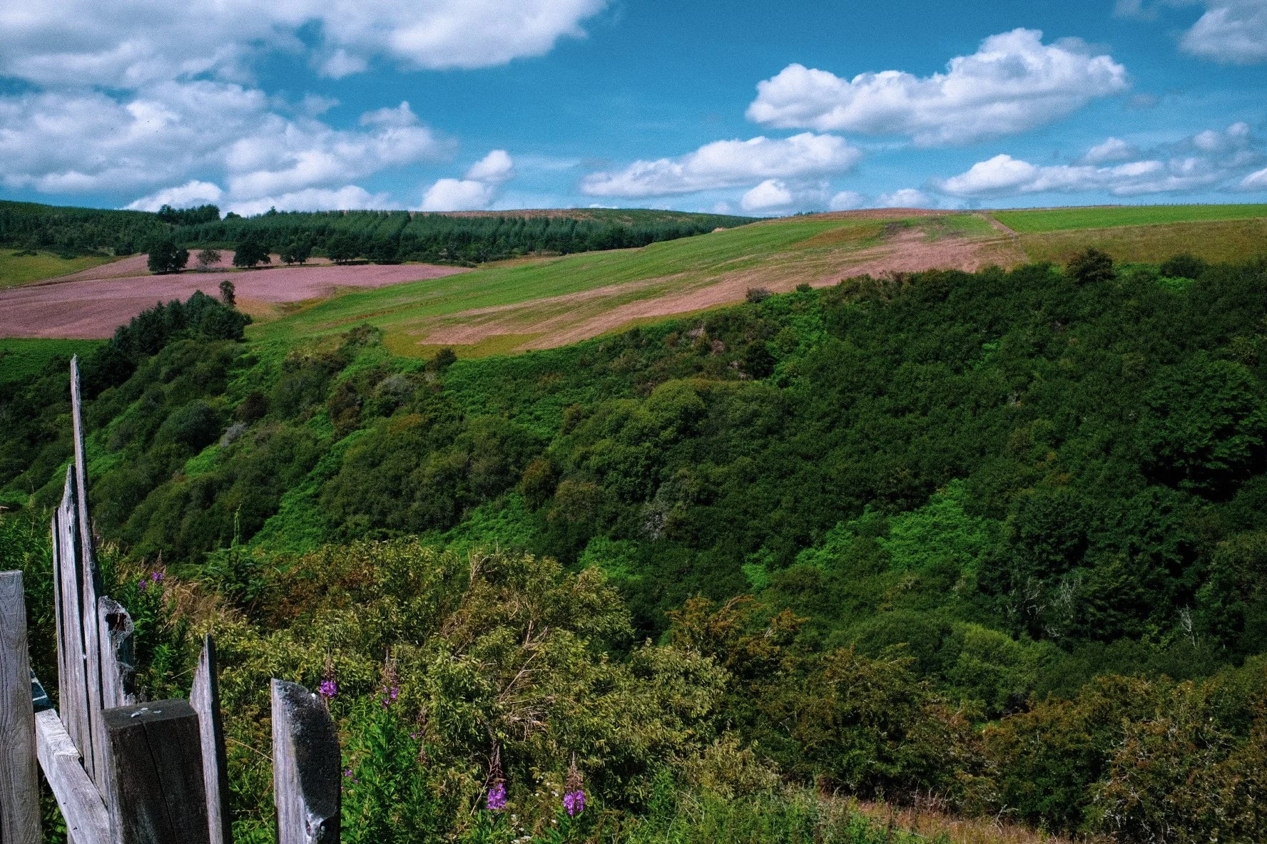 Tpot website photos-03.jpg