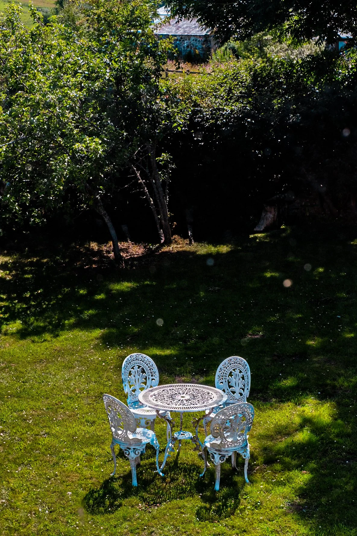 Tpot website photos-50.jpg