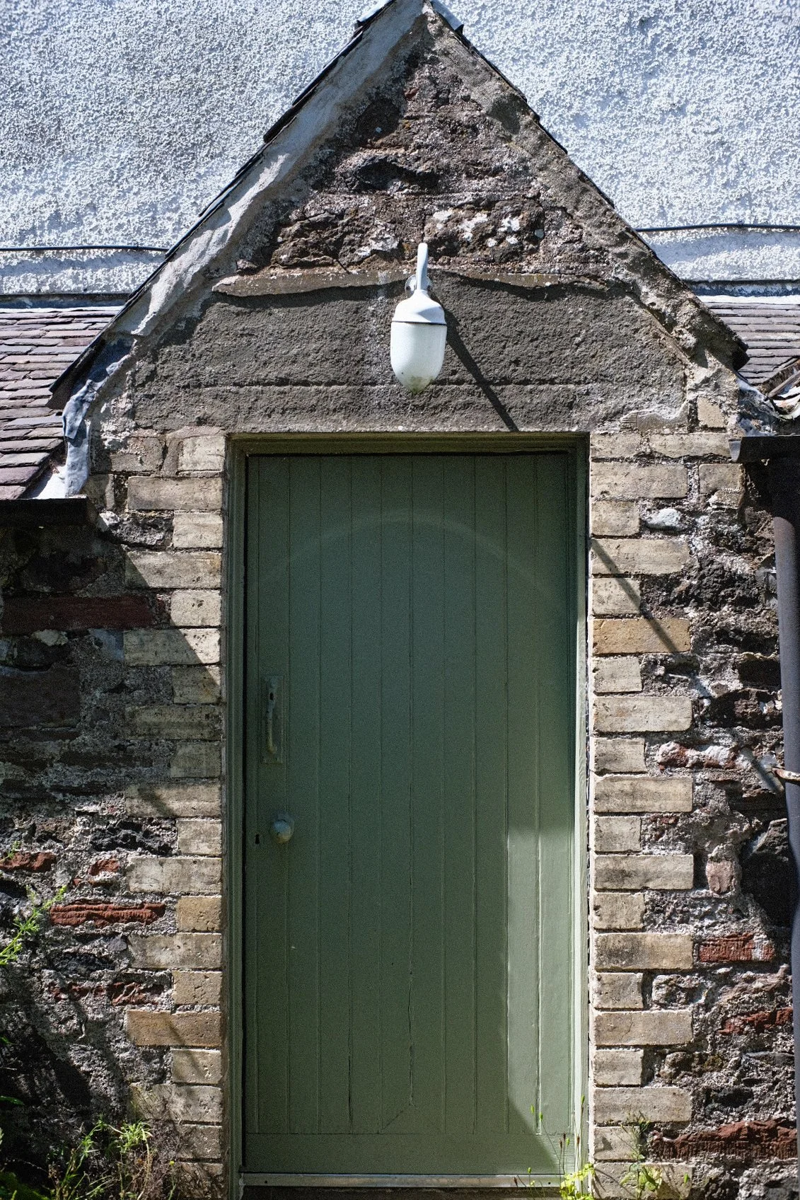 Tpot website photos-02.jpg