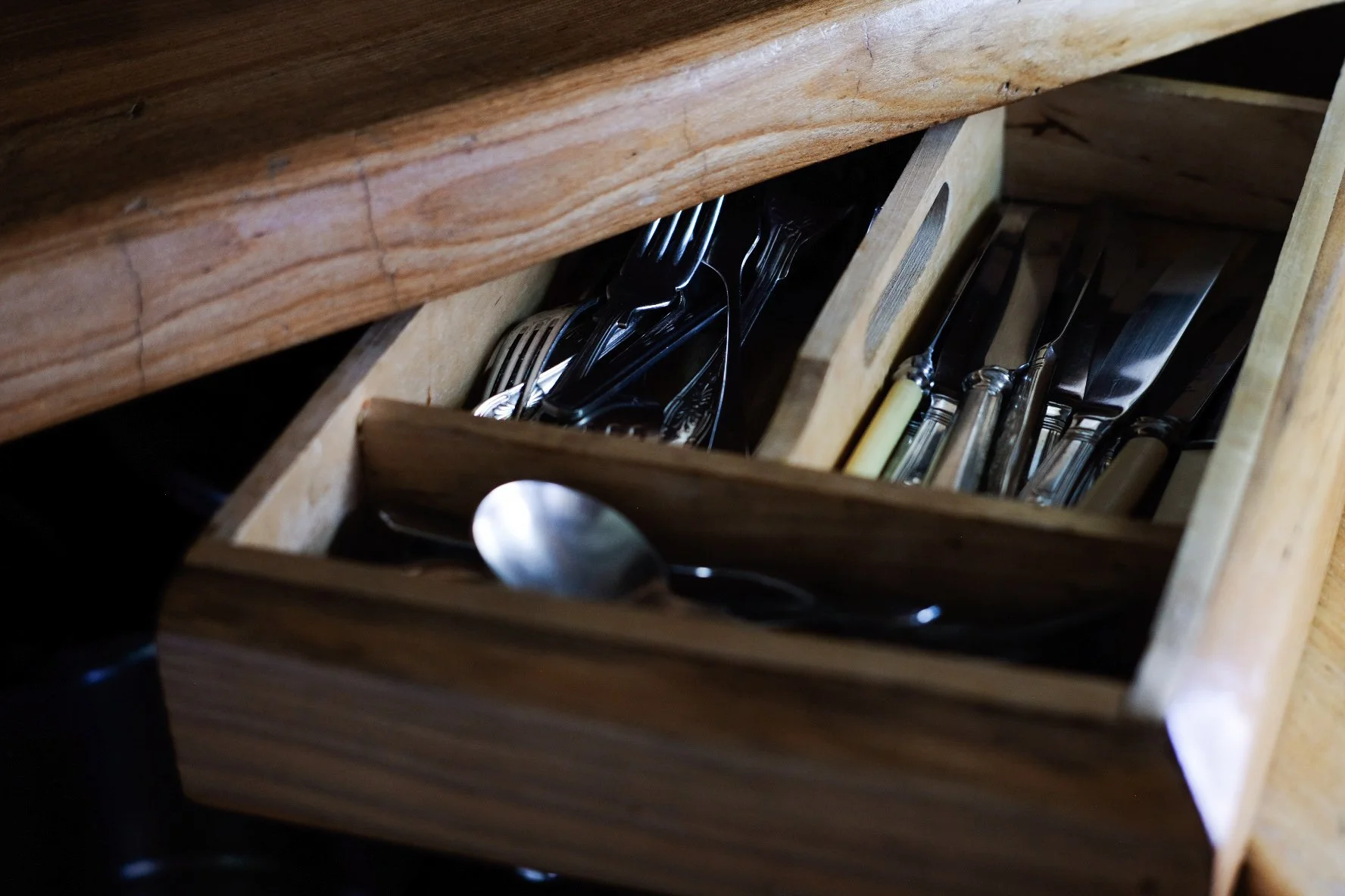 Tpot website photos-52.jpg