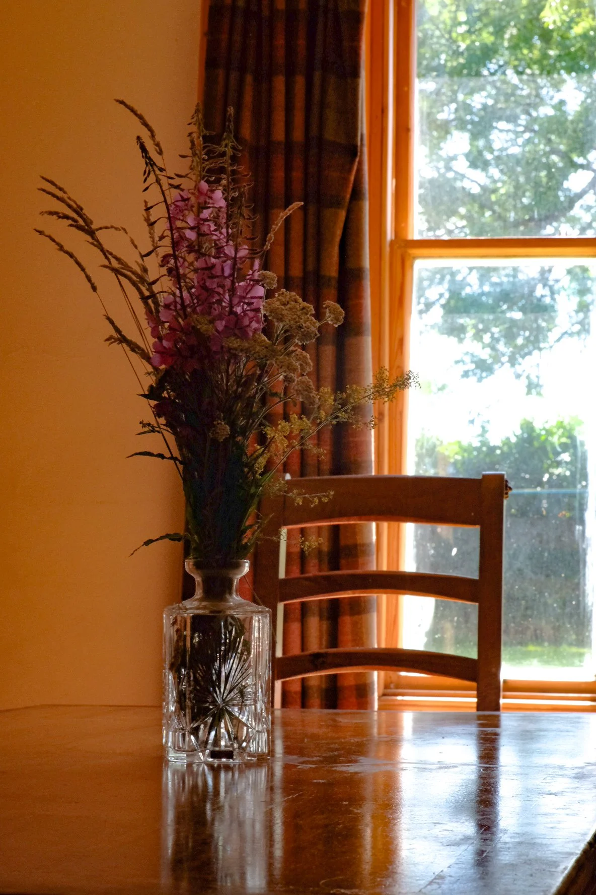 Tpot website photos-46.jpg