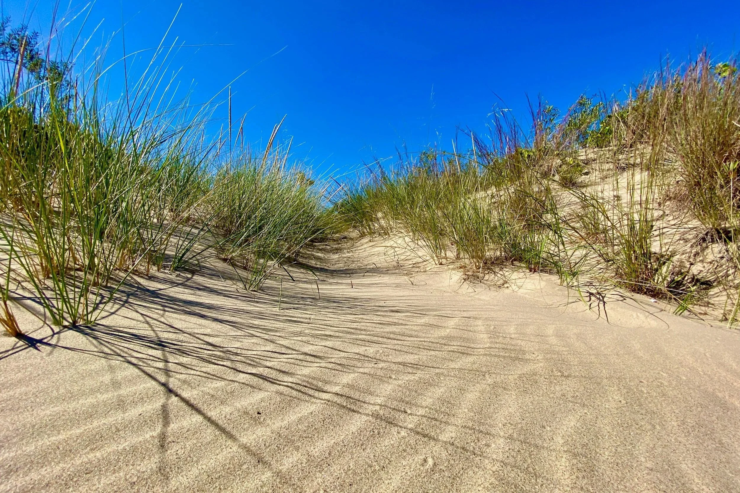 Drawing Your Line in the Sand