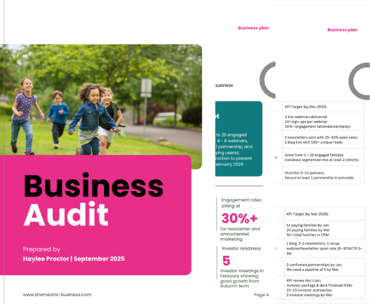 Business Audit
