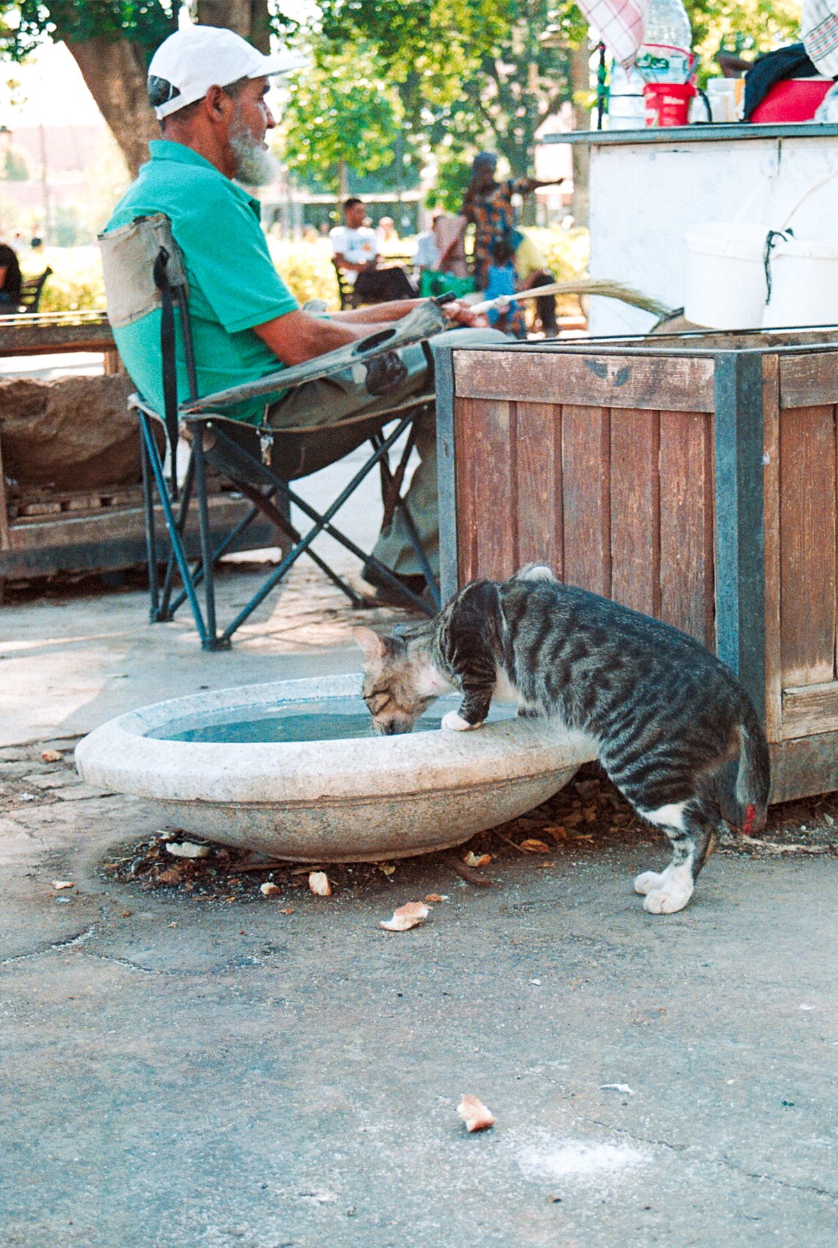 Maroc photo 6