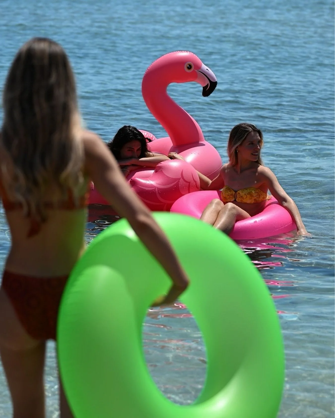 At Bloom, summer is all about carefree moments, endless sunshine, and the kind of fun you never want to end. 🦩

#BloomMoments #voulabeach