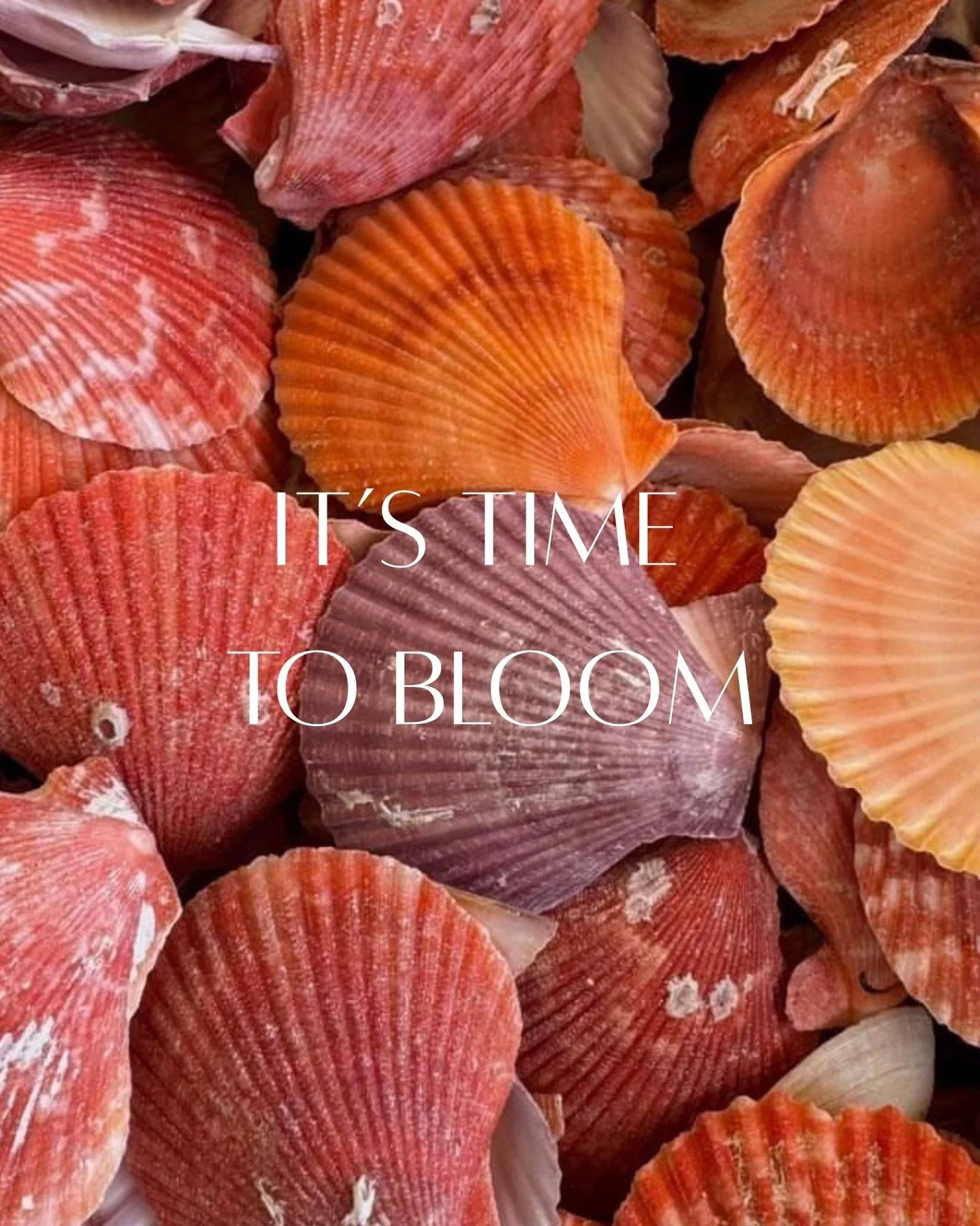 May Day is for flowers 🌸
 And we&rsquo;re getting ready to bloom by the sea 🌊
 Coming soon.

#bloombeach #bloomproject #voulabeach
