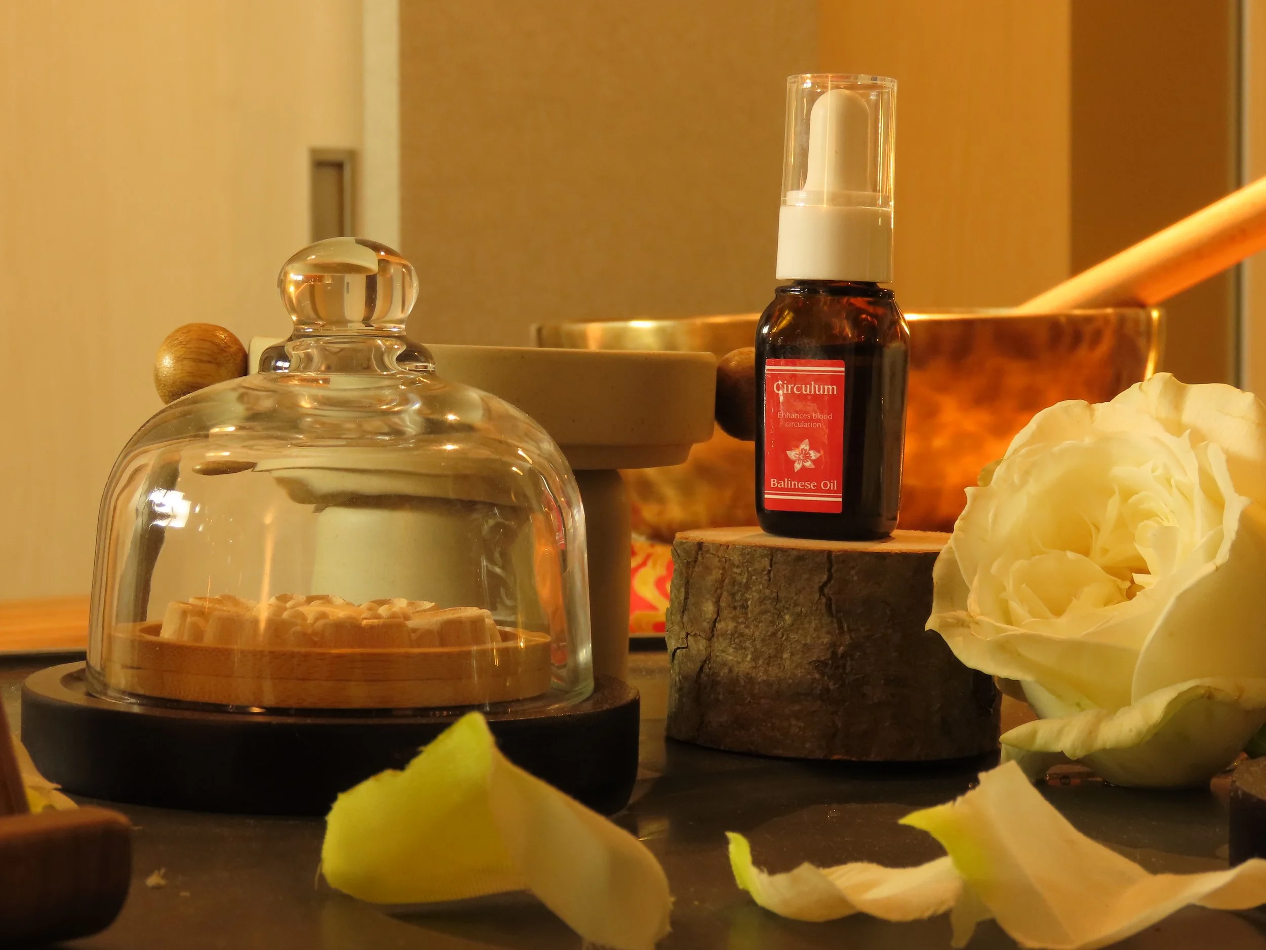 Geometric drawing of an outline square with sections divided by vertical, horizontal, and circle lines.